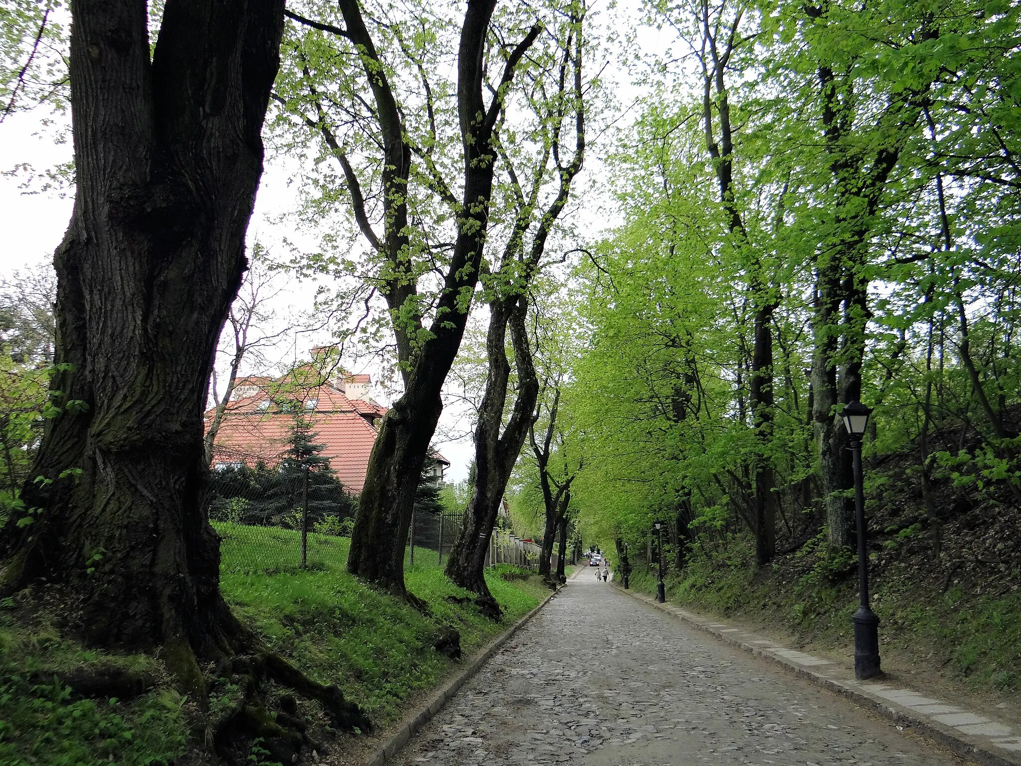 Photo showing: Staromiejska Street in Sandomierz