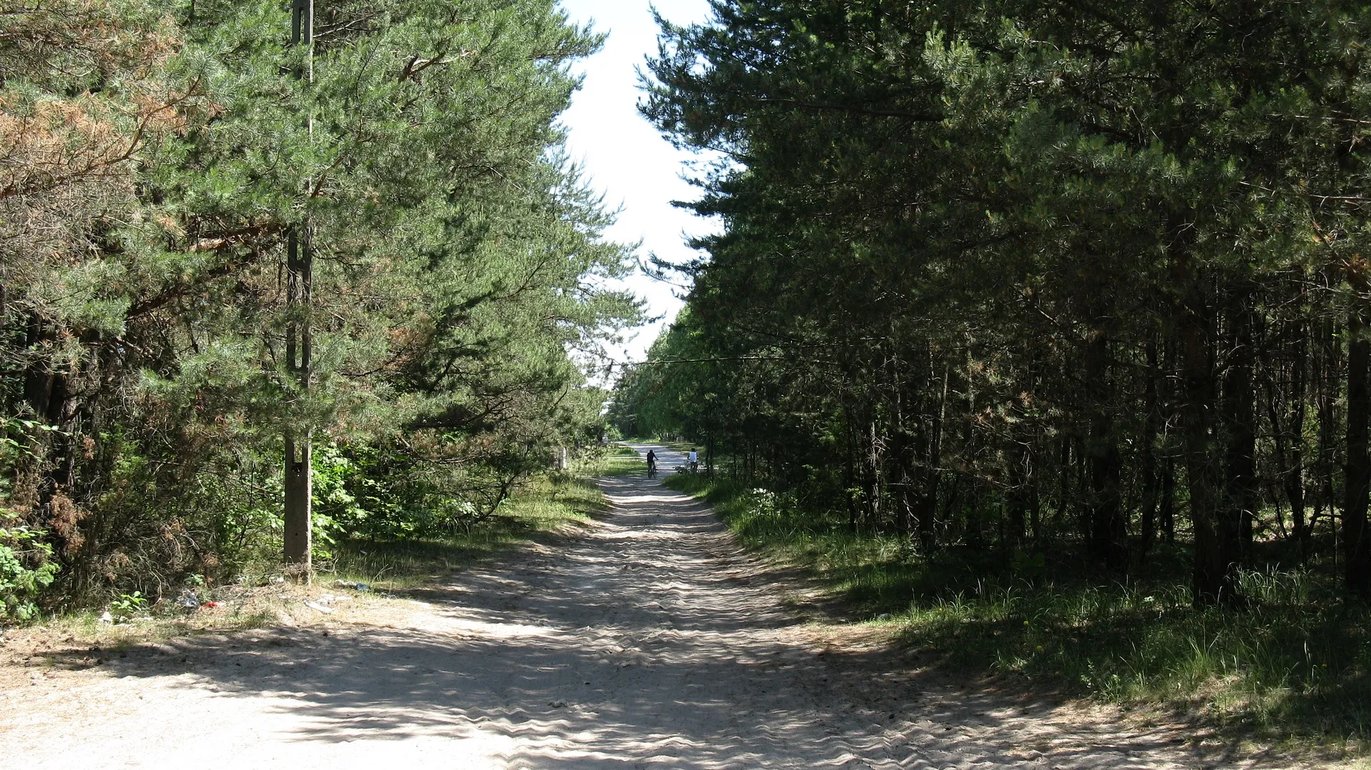 Photo showing: Rozstajne leśne dróżki: na wschód