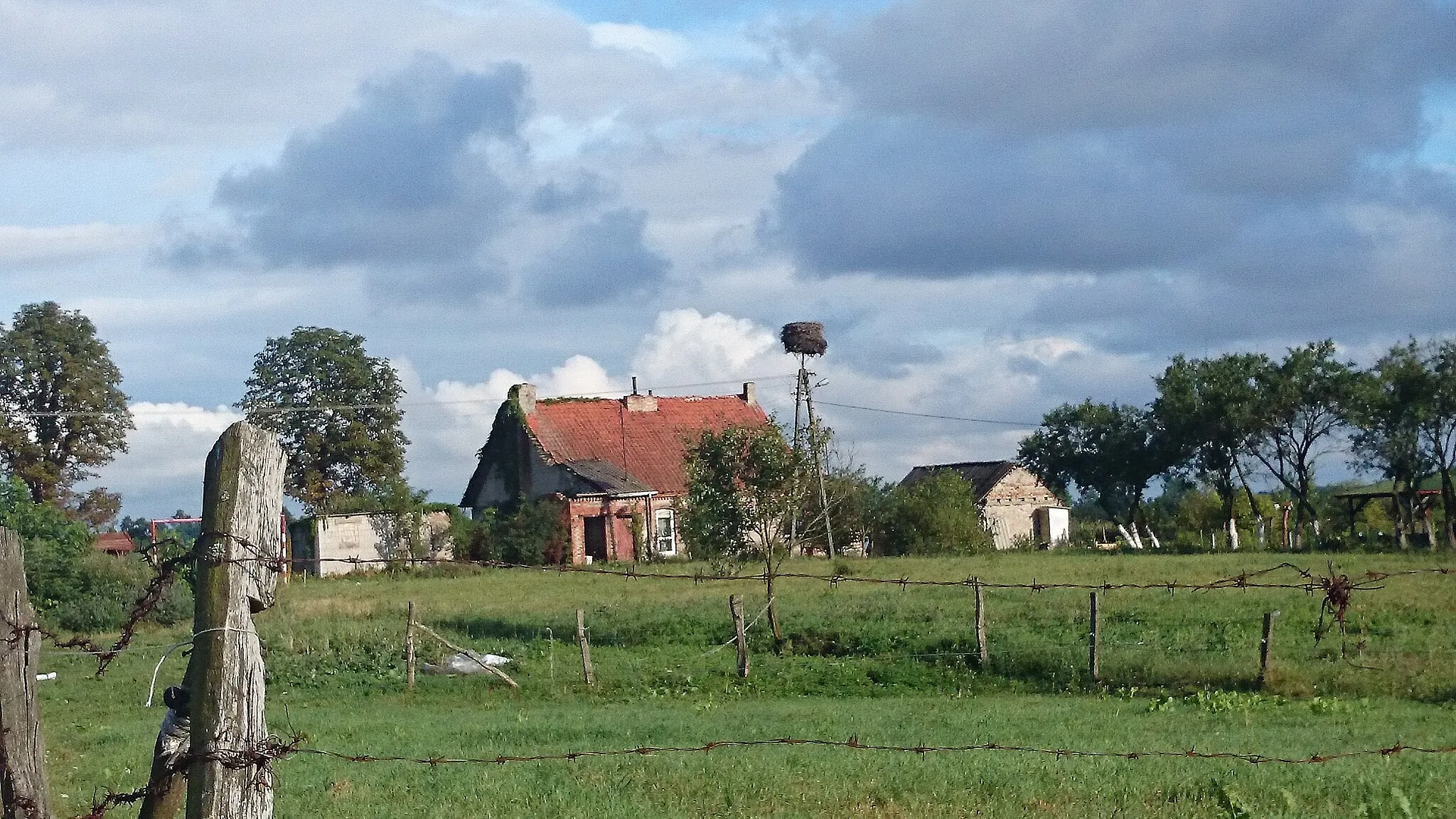 Photo showing: Zabłocie Kozłowskie - bocianie gniazdo