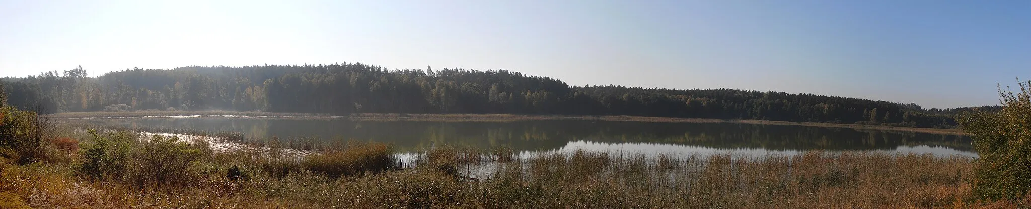 Photo showing: Jezioro Kielarskie, w pobliżu leśniczówki Zazdrość