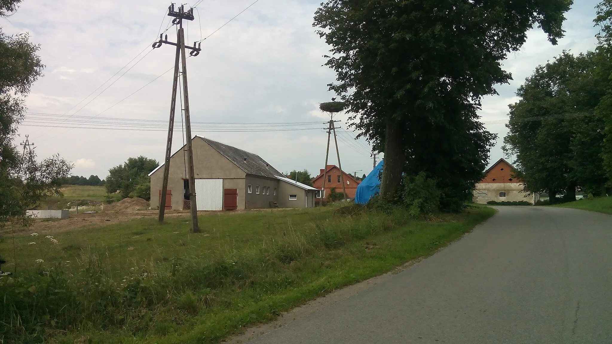 Photo showing: Gniazdo bociana białego znajdujące się we wsi Zelki