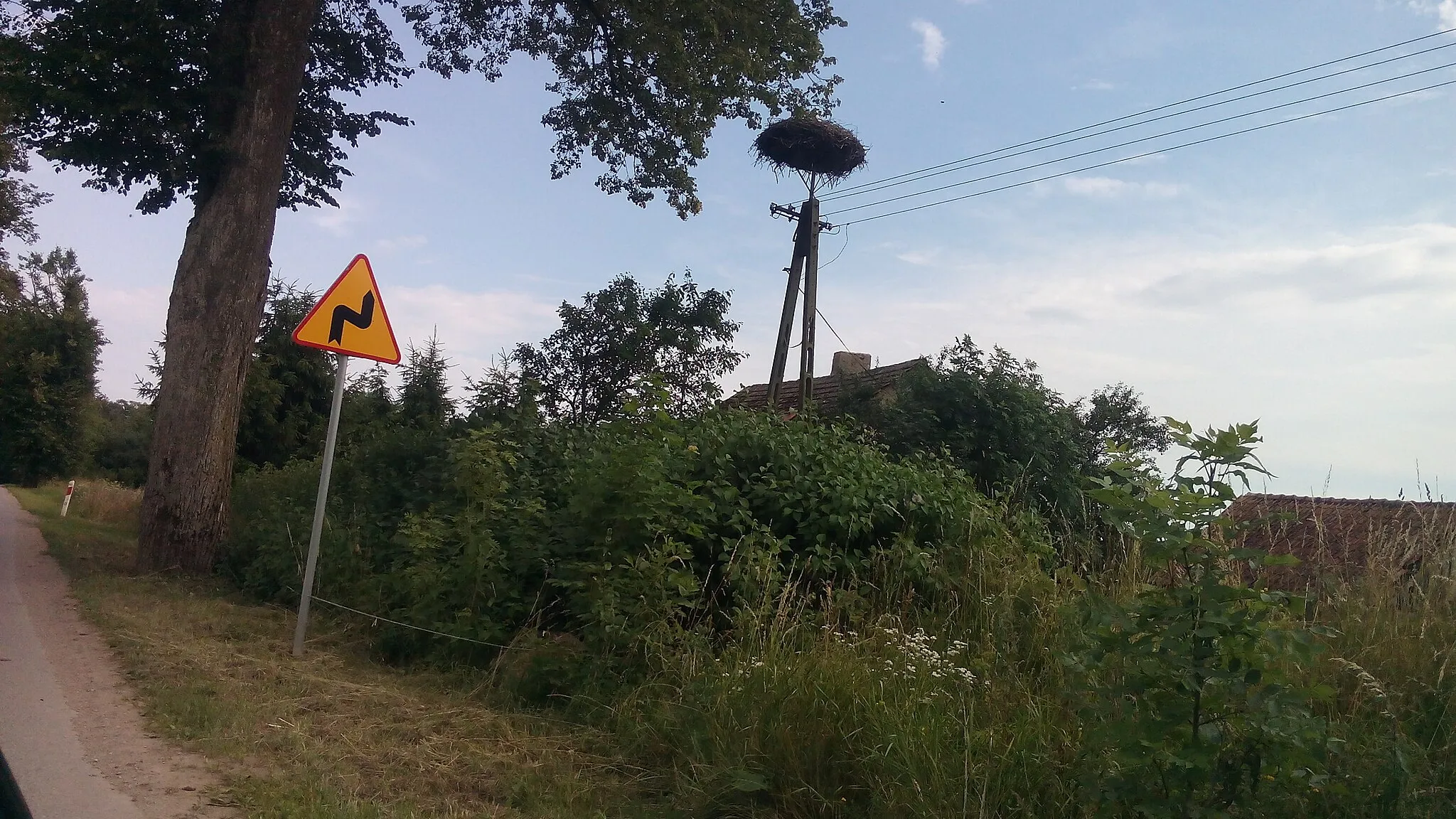 Photo showing: Gniazdo bociana białego znajdujące się we wsi Zelki