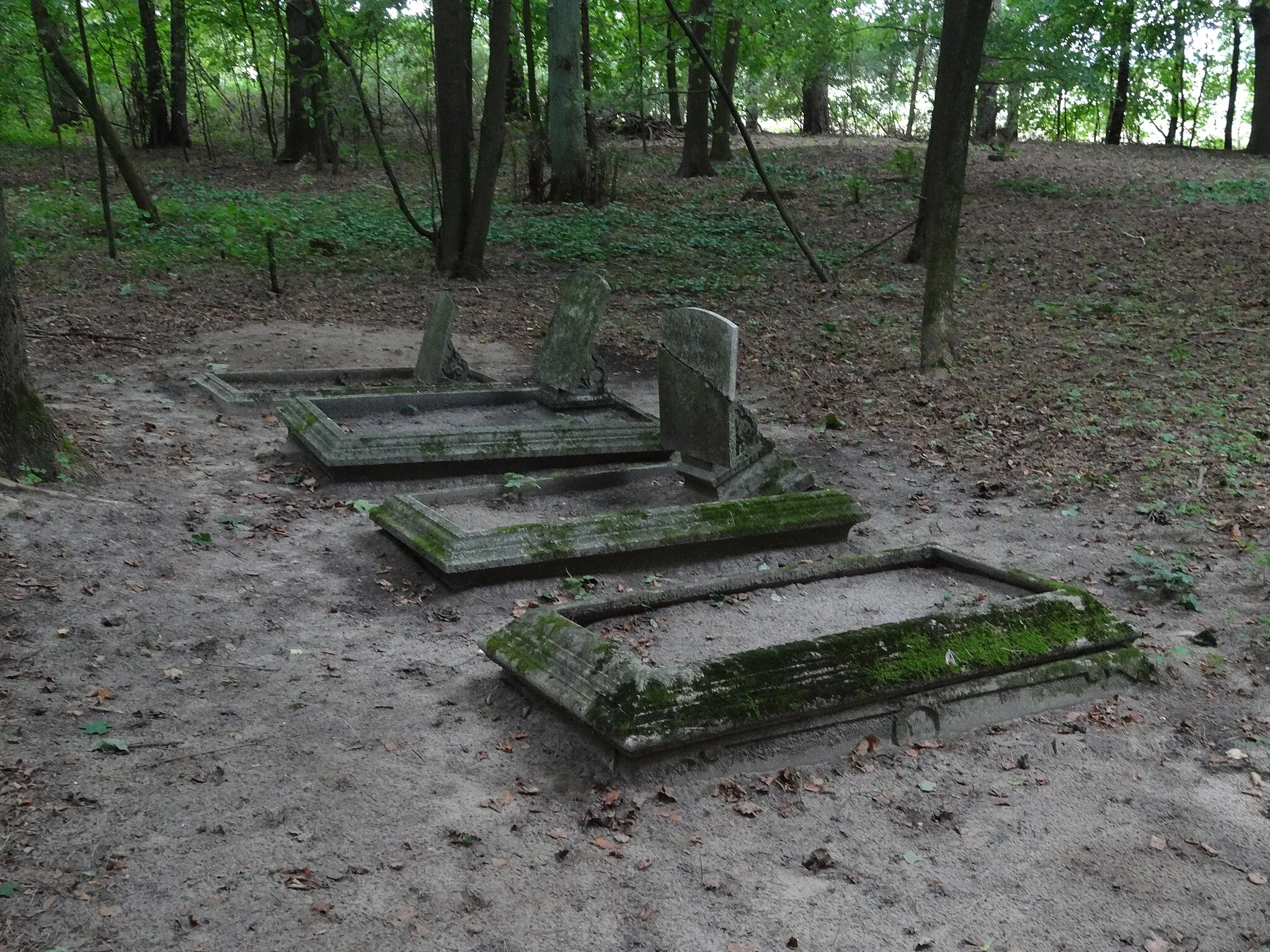Photo showing: Stary cmentarz w Zdorach