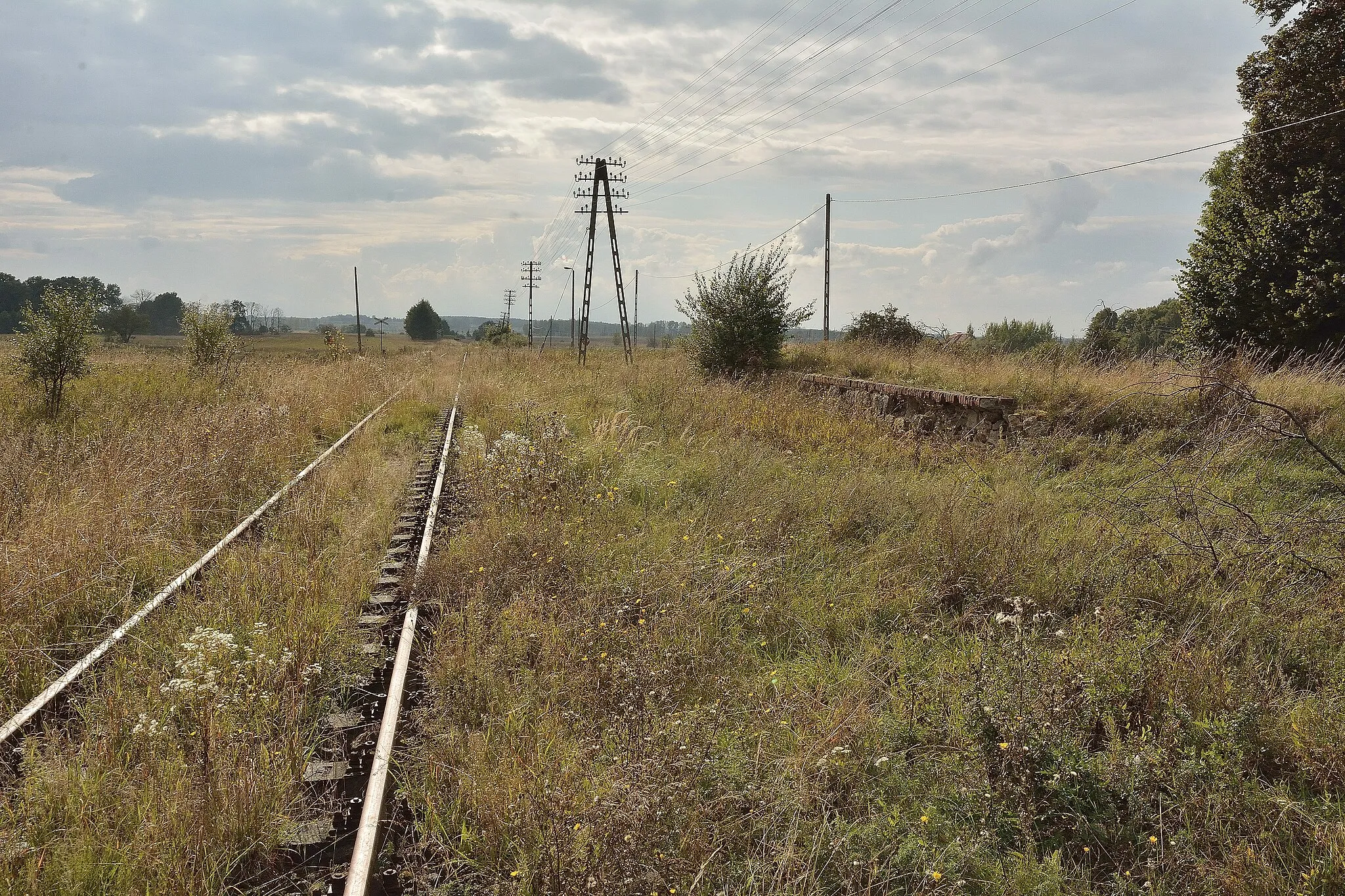 Photo showing: pozostałości poniemieckiego peronu nieczynnej stacji w Woźnicach na linii kolejowej 223