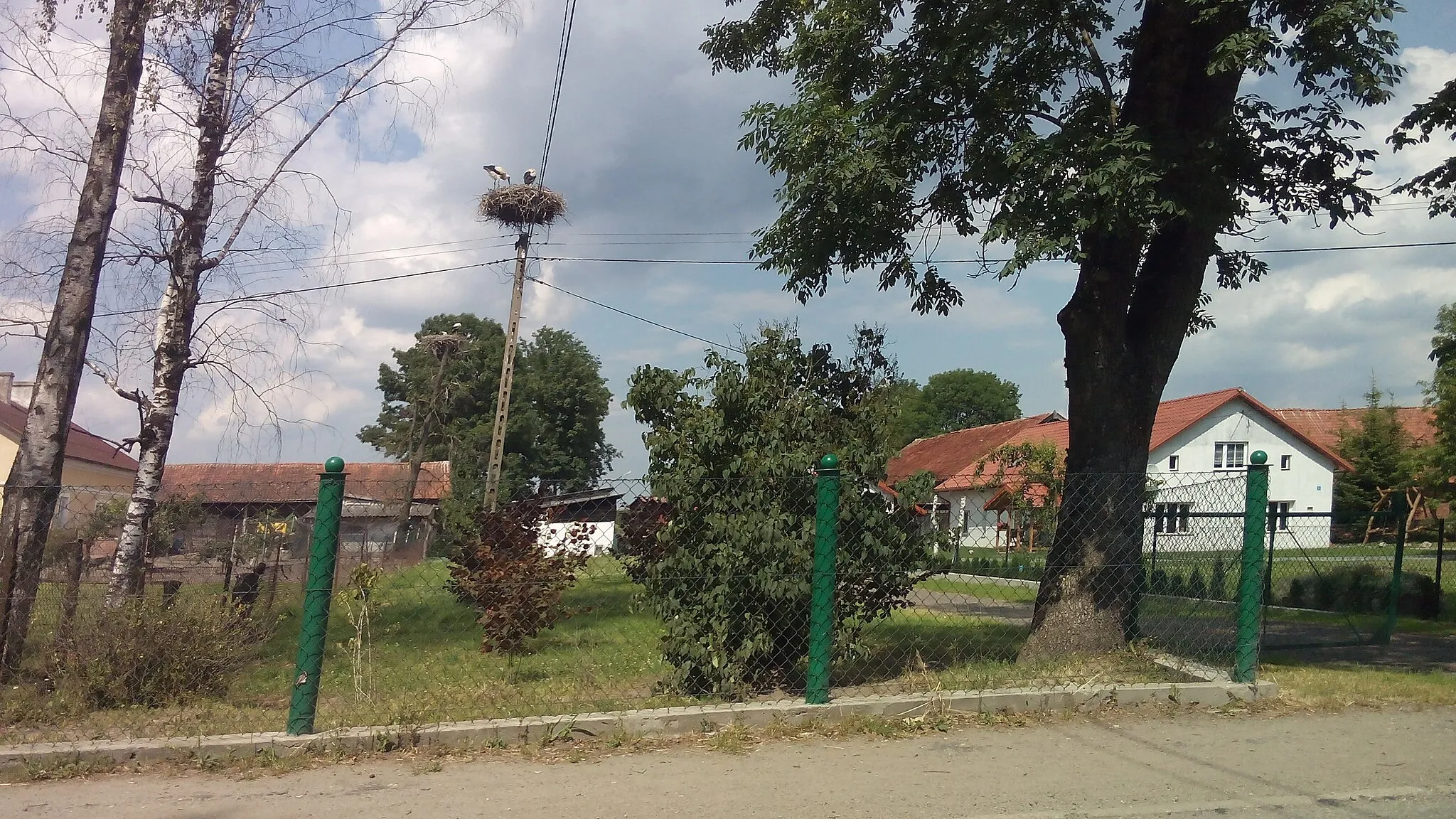 Photo showing: Gniazdo bociana białego znajdujące się we wsi Spytajny