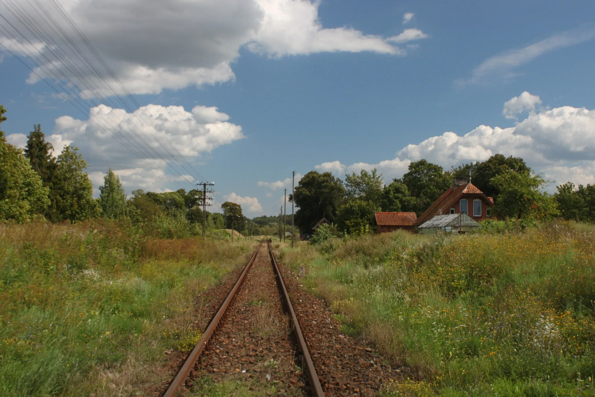 Photo showing: Railway tracks in Probark.
