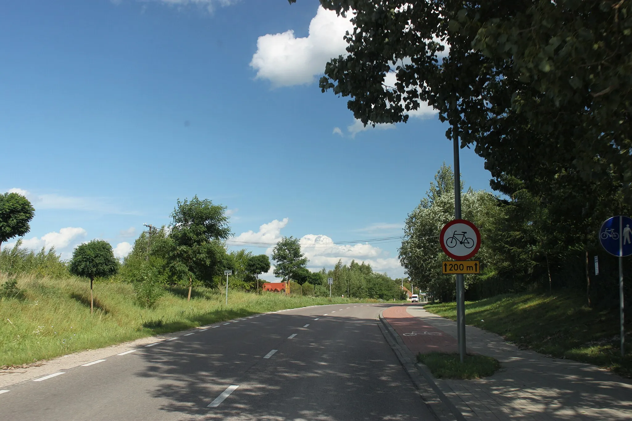 Photo showing: Road in Prawdowo.