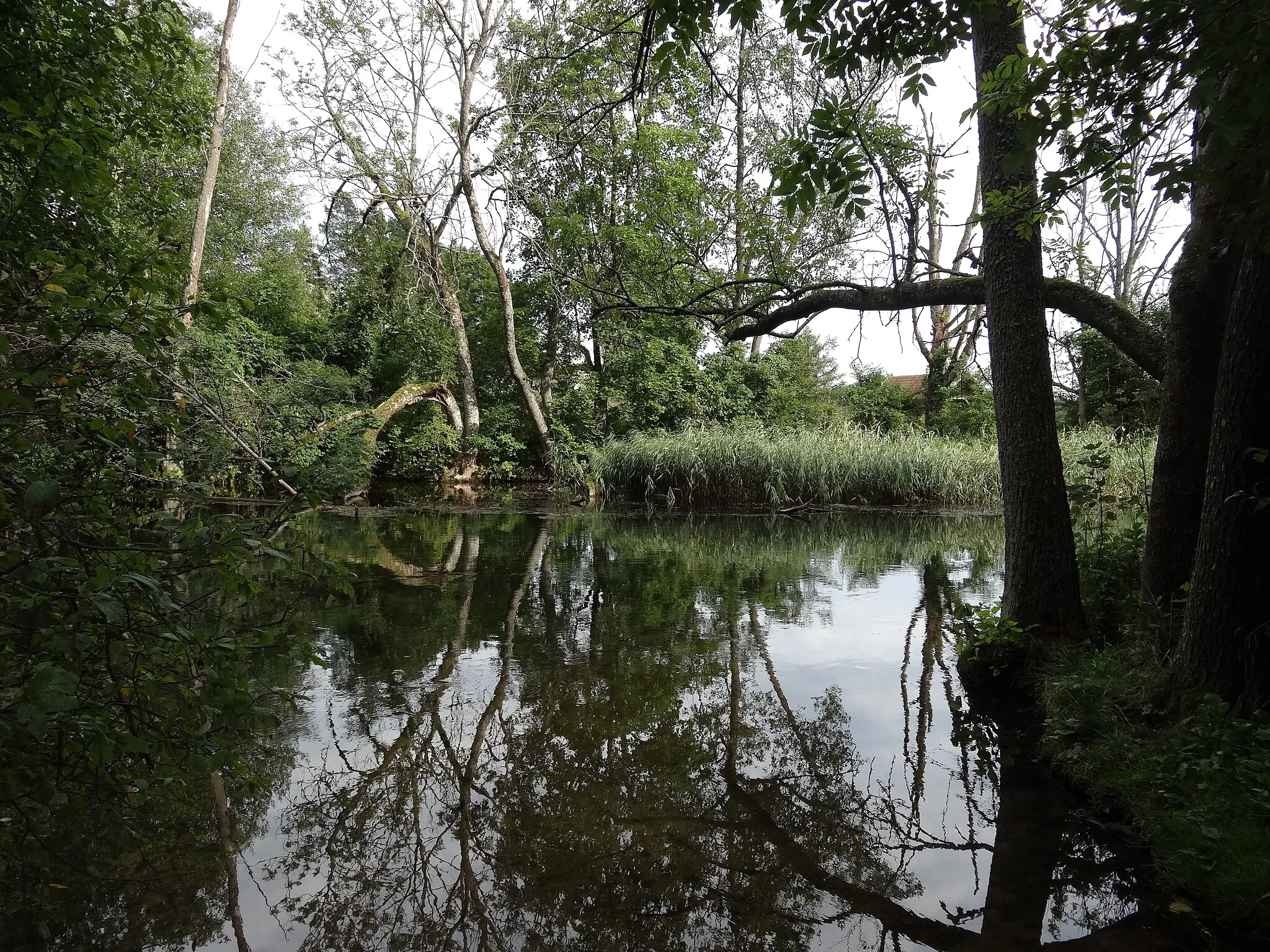 Photo showing: Krutyń, Poland