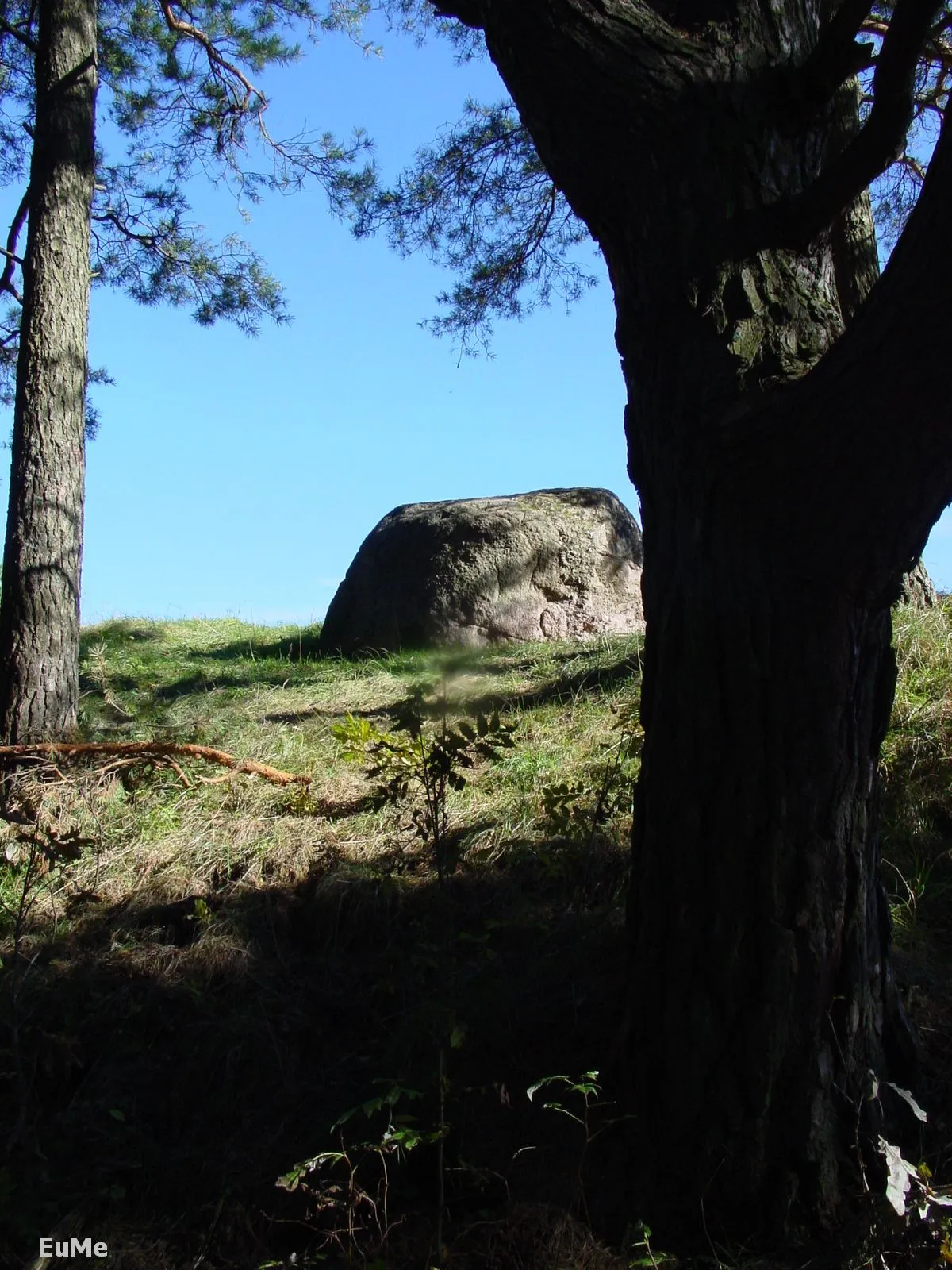 Photo showing: Głaz narzutowy "DIABELSKI KAMIEŃ" - dawny ołtarz ofiarny Galindów..