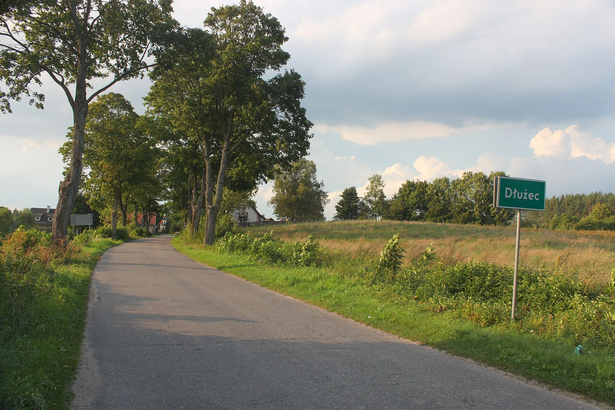Photo showing: Road in Dłużec.