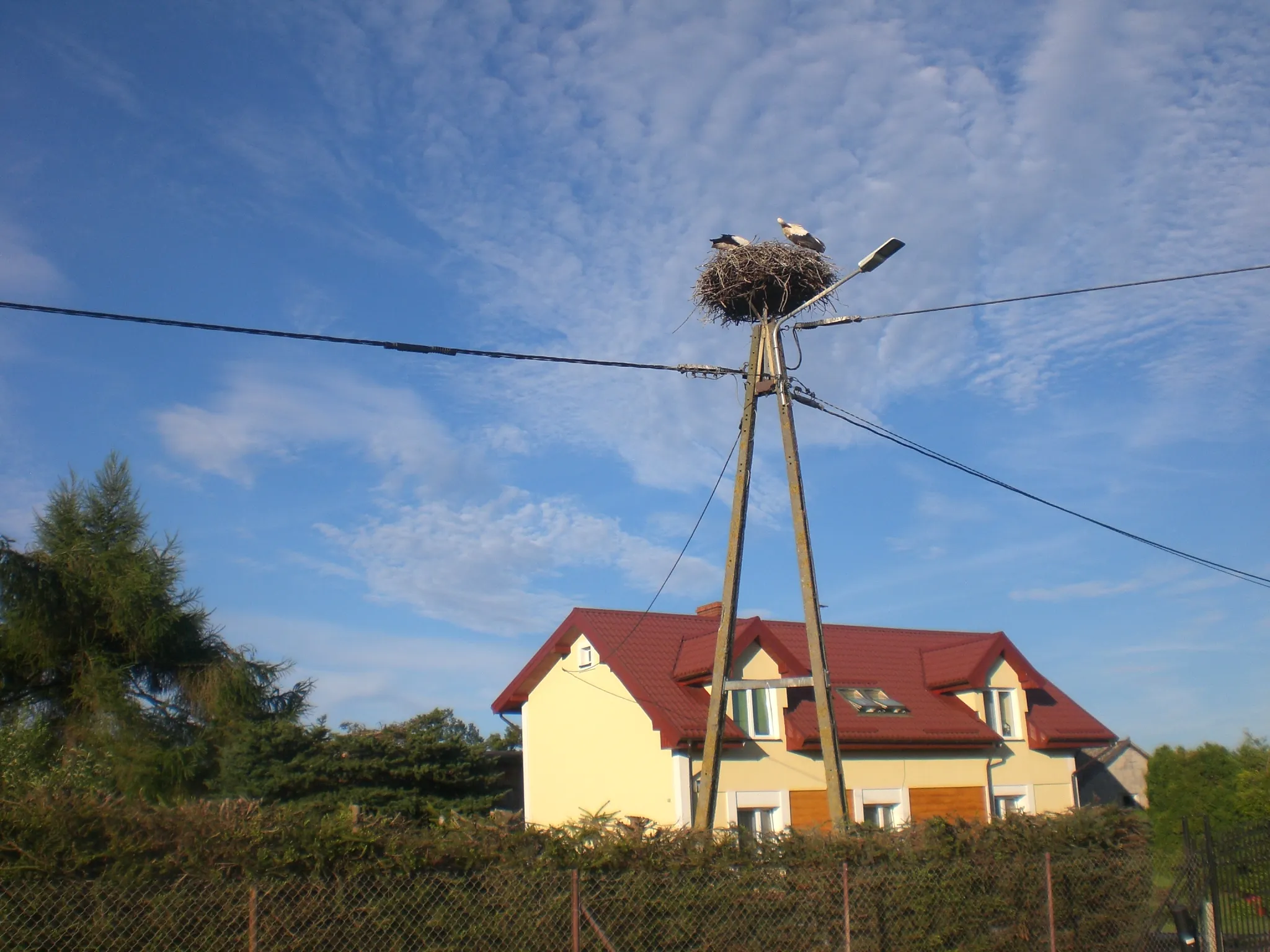 Photo showing: Stare Miasto