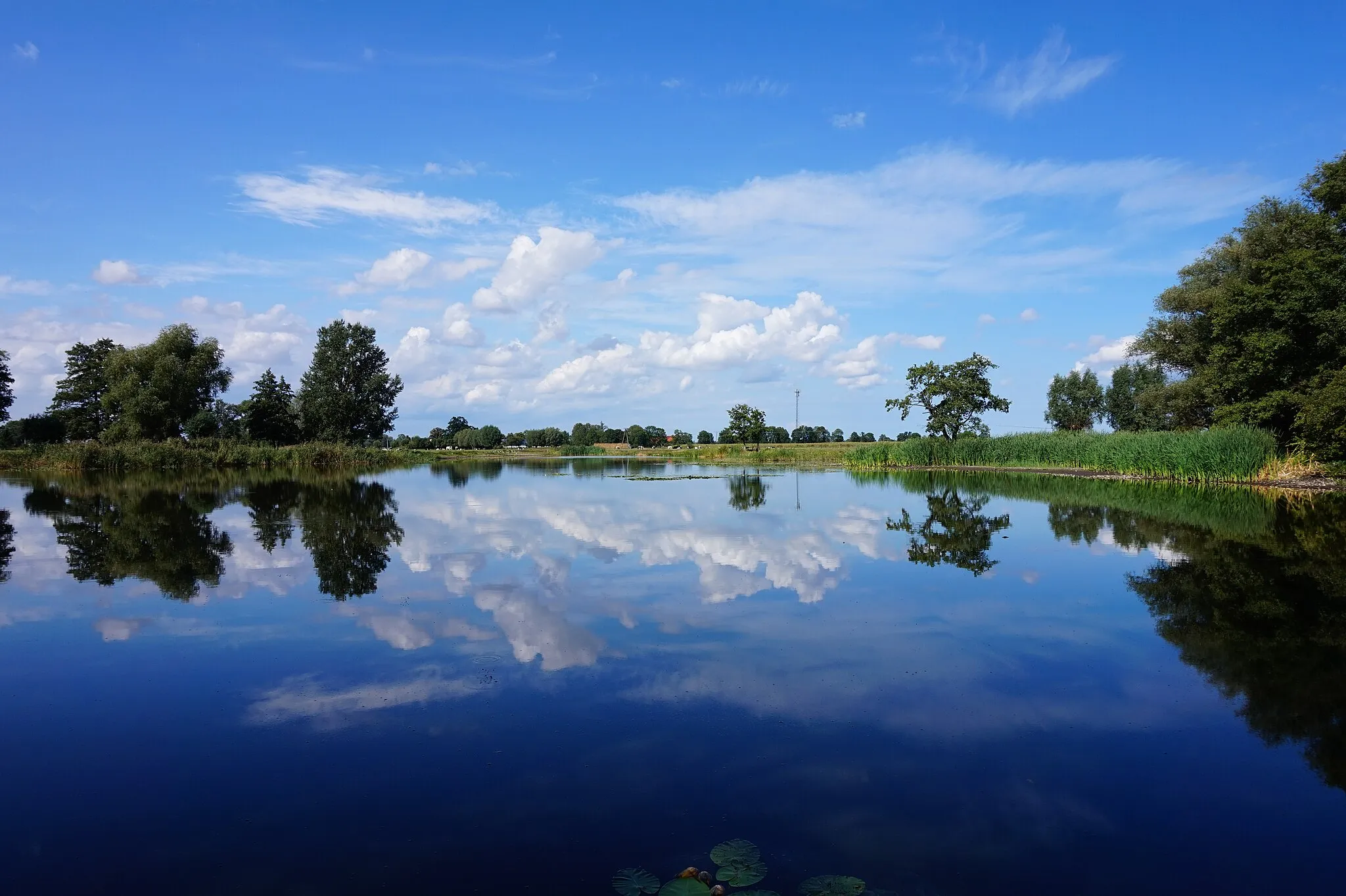 Photo showing: Staw koło wsi Solnica