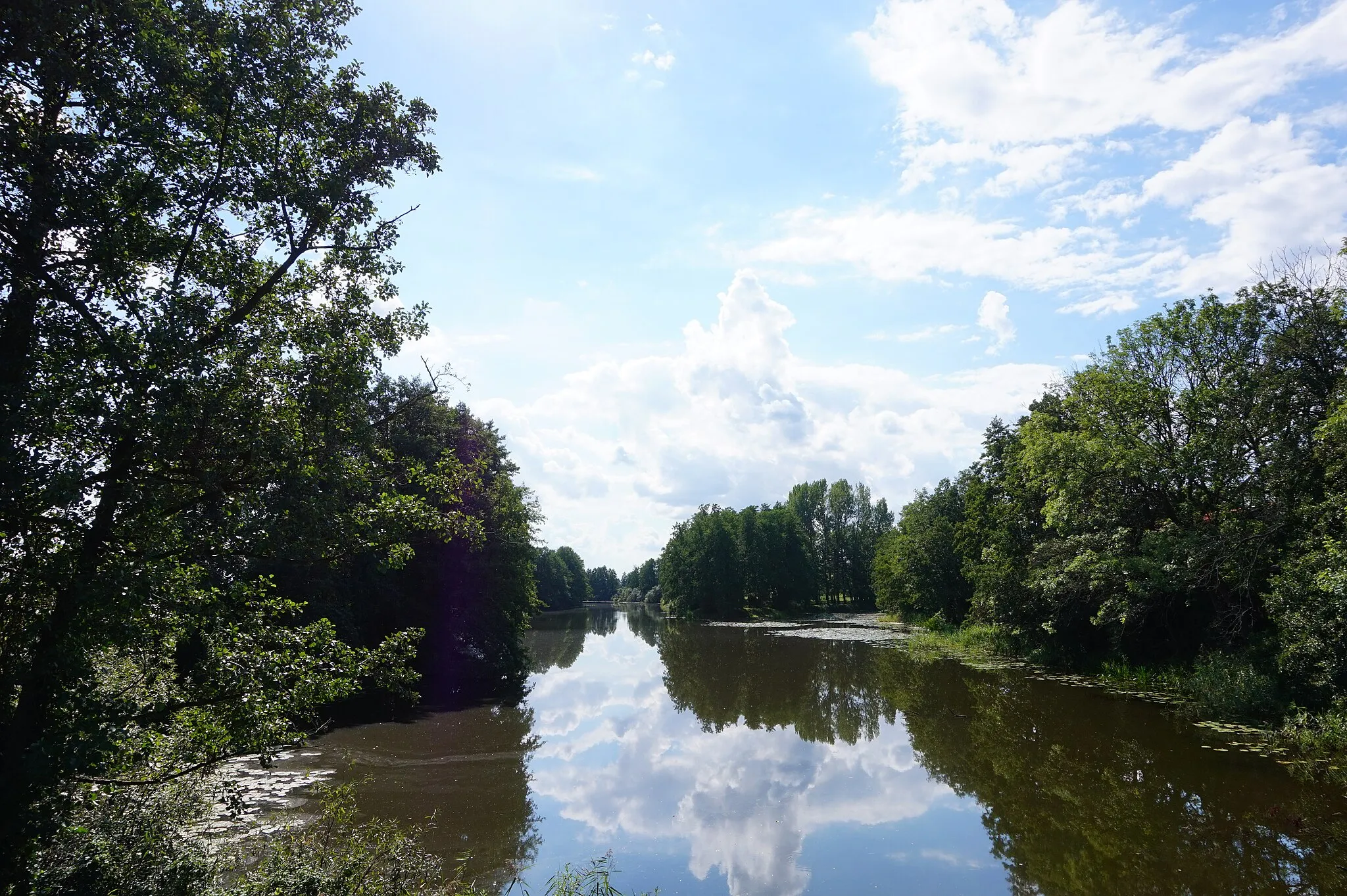 Photo showing: Kanał Izbowa Łacha, okolice wsi Solnica