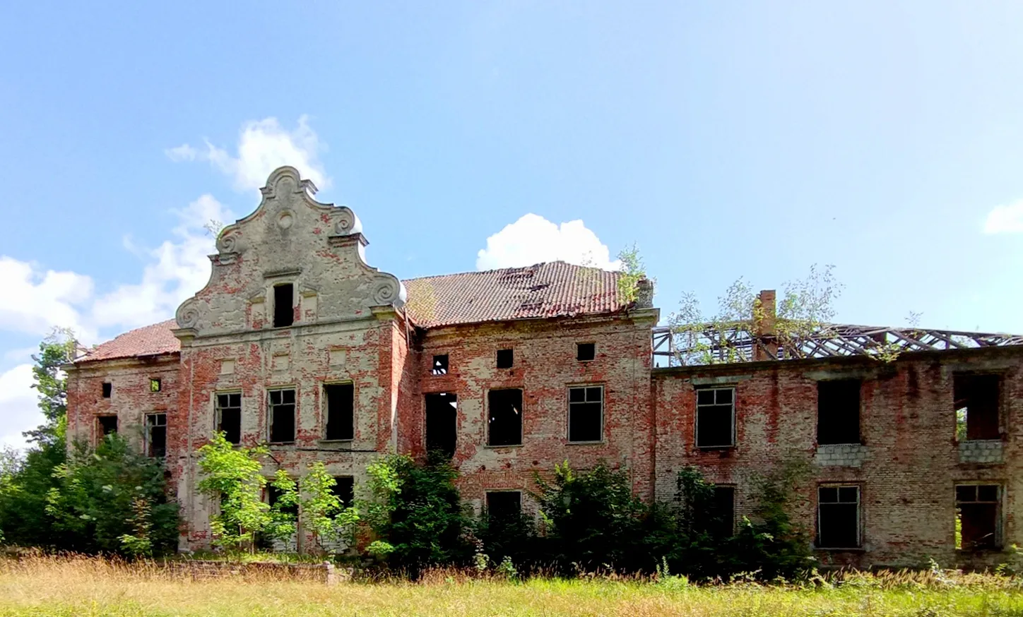 Photo showing: Januszewo. Ruiny pałacu