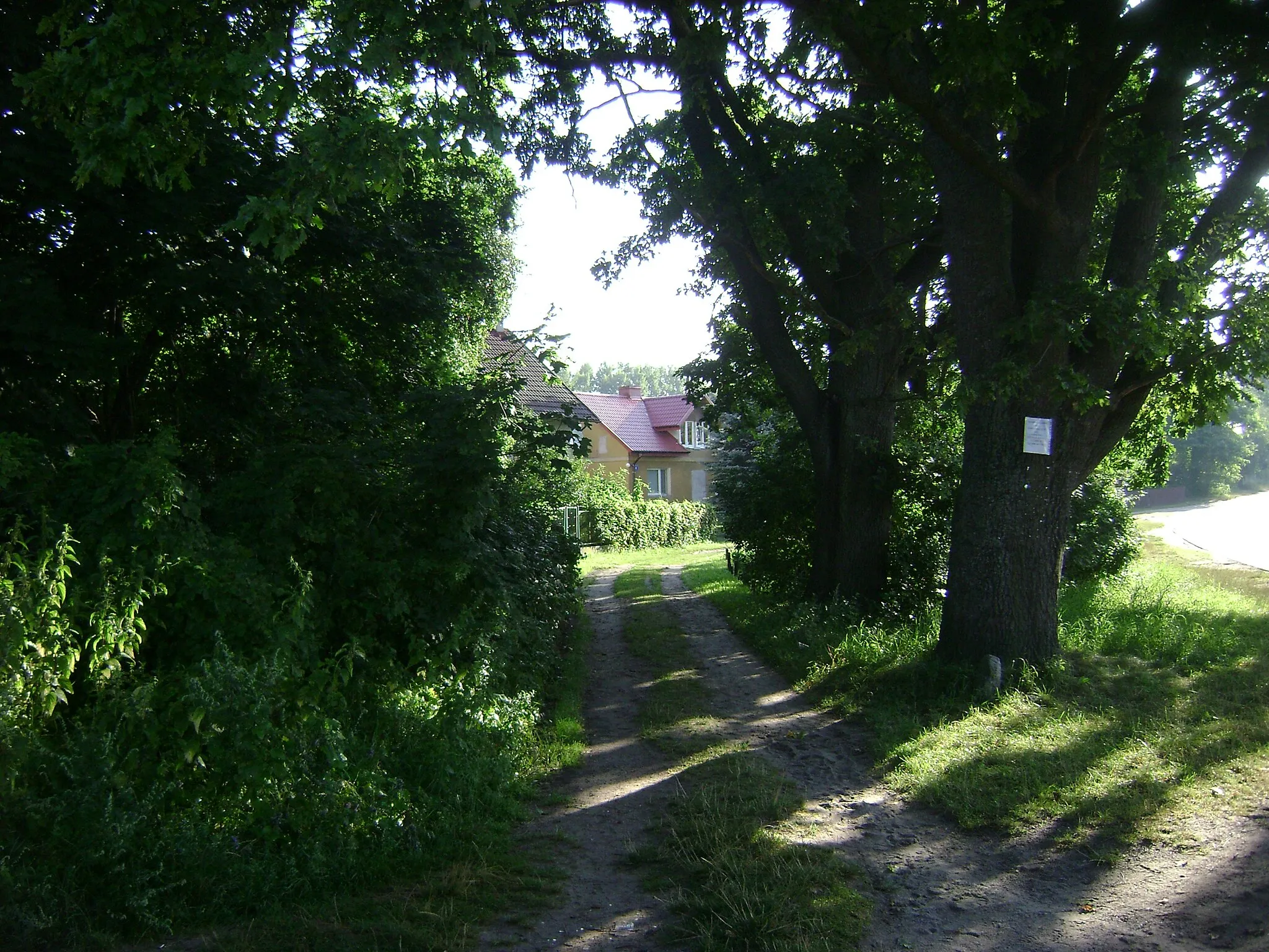 Photo showing: Warchały