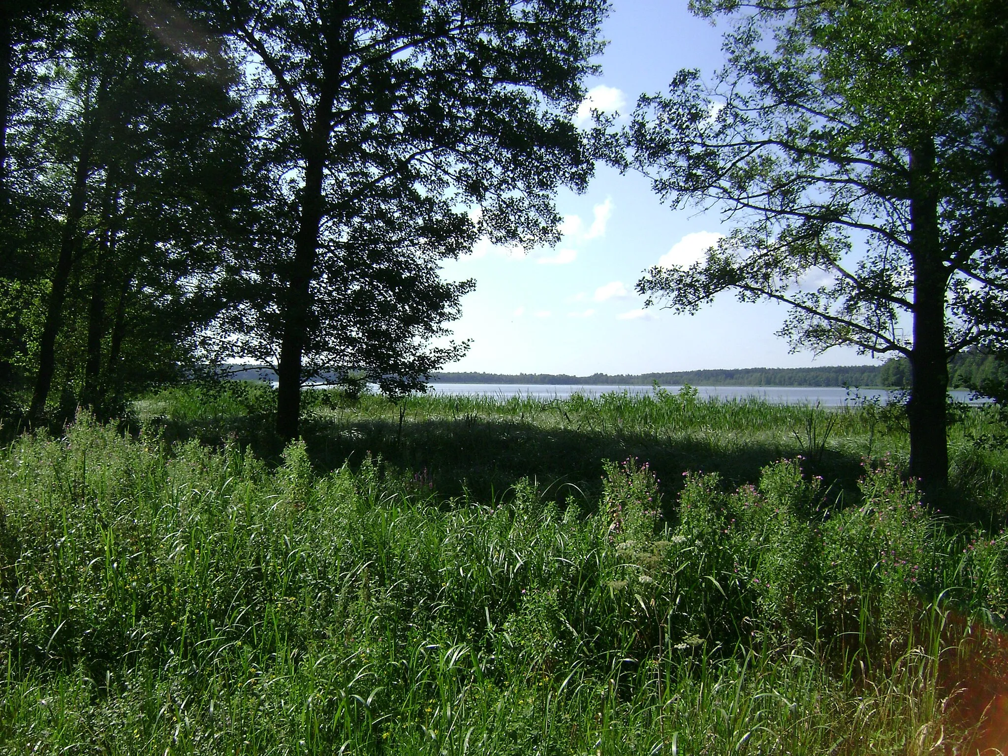 Photo showing: Poland. Gmina Szczytno. Sędańsk. Sędańskie Lake