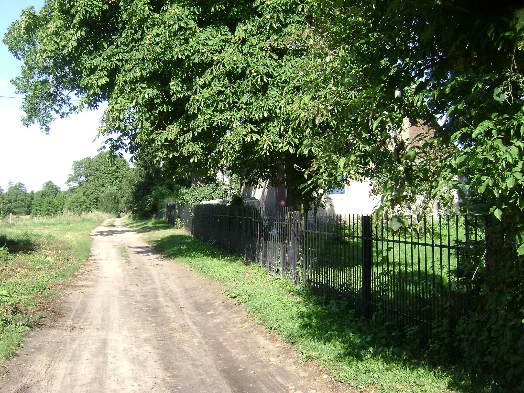 Photo showing: Poland. Gmina Szczytno. Sędańsk