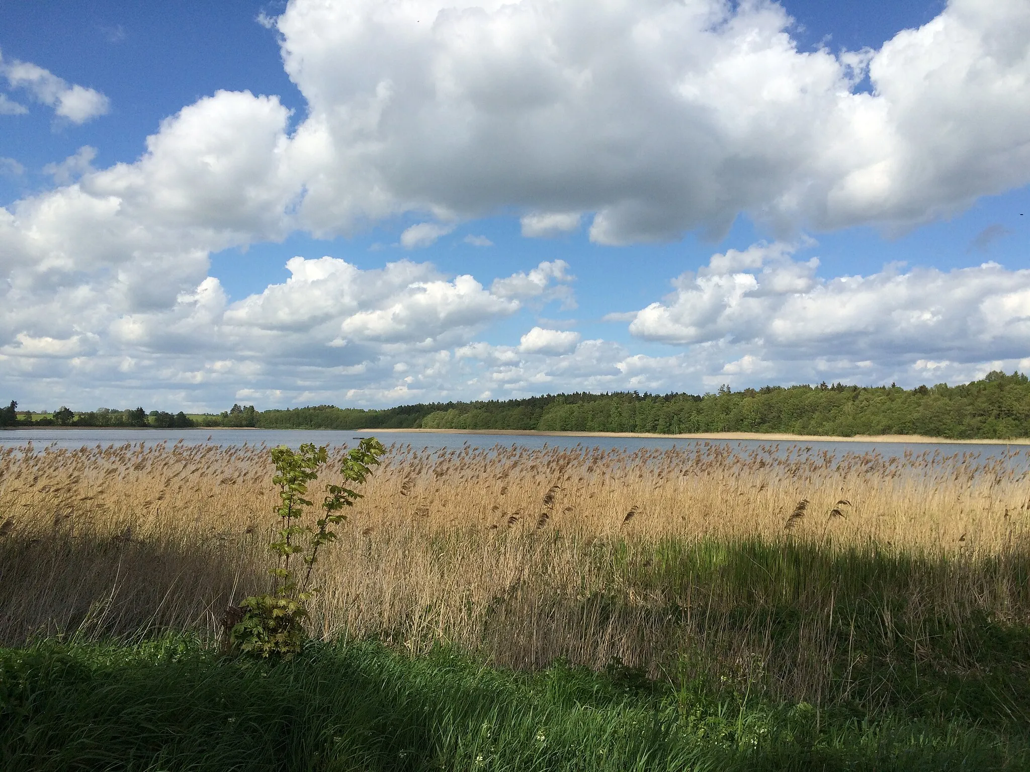 Photo showing: Het Dabrova Meer bij Samin