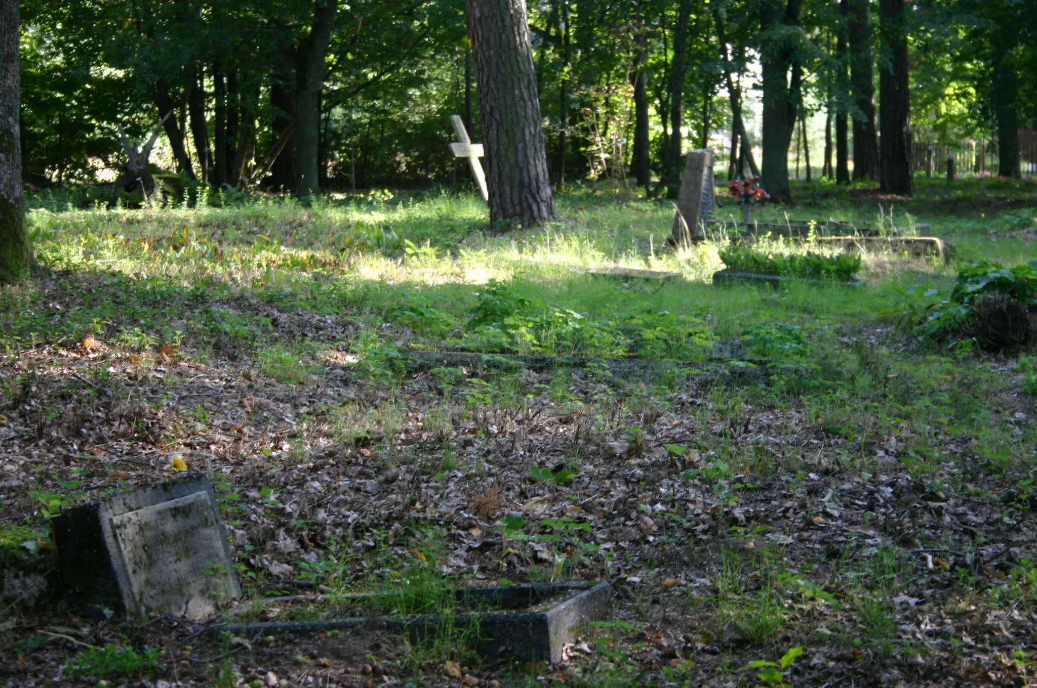 Photo showing: Evangelical cemetery in Pogobie near Pisz, Reg No. A-2601