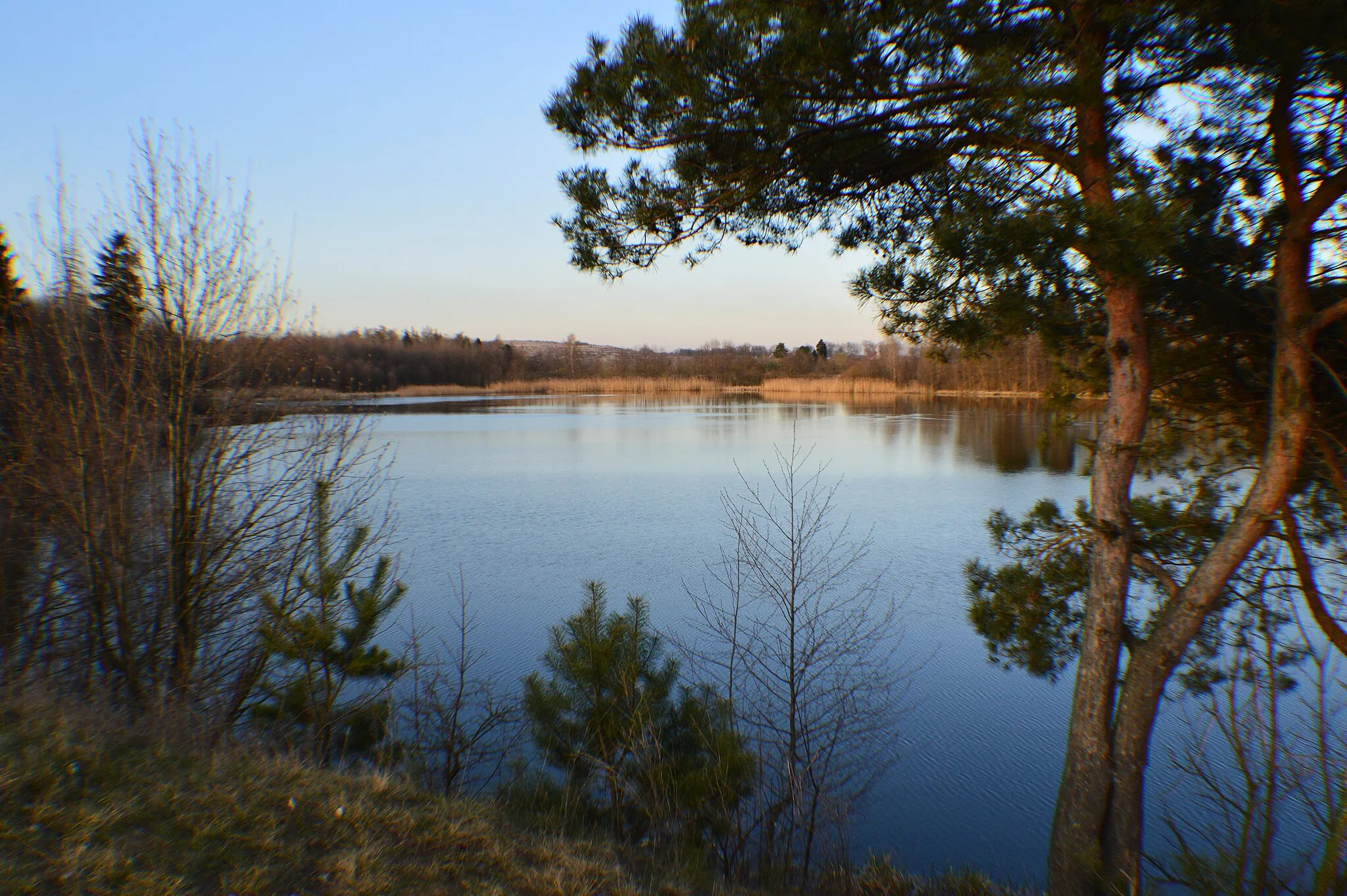 Photo showing: Północna część misy Jeziora Grzybiny