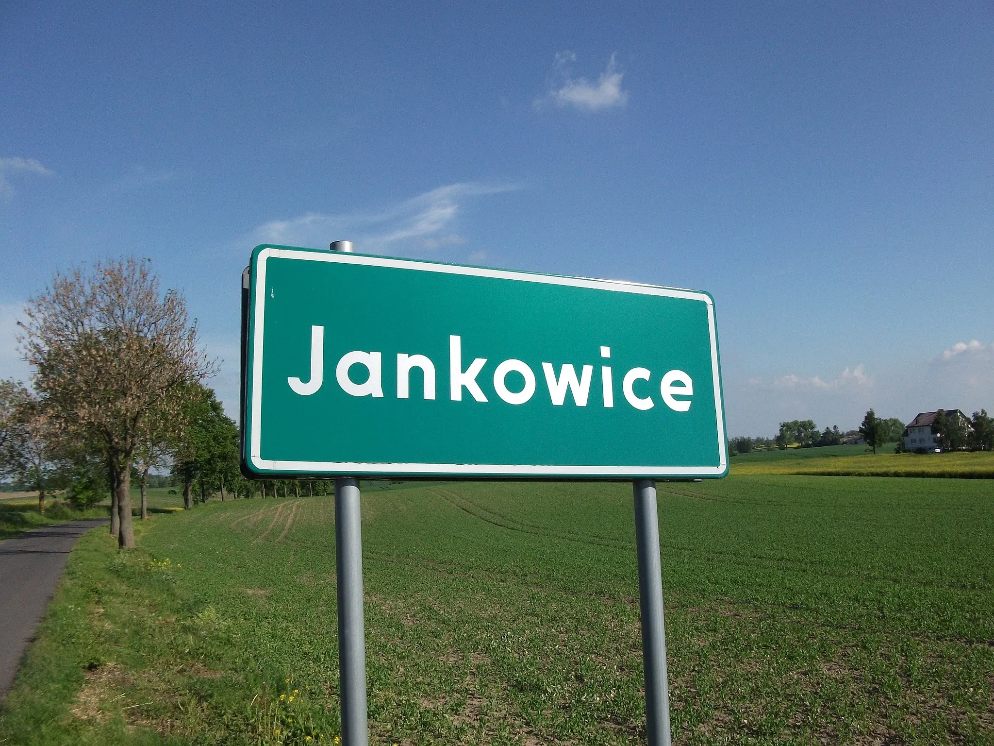 Photo showing: Jankowice village in Poland