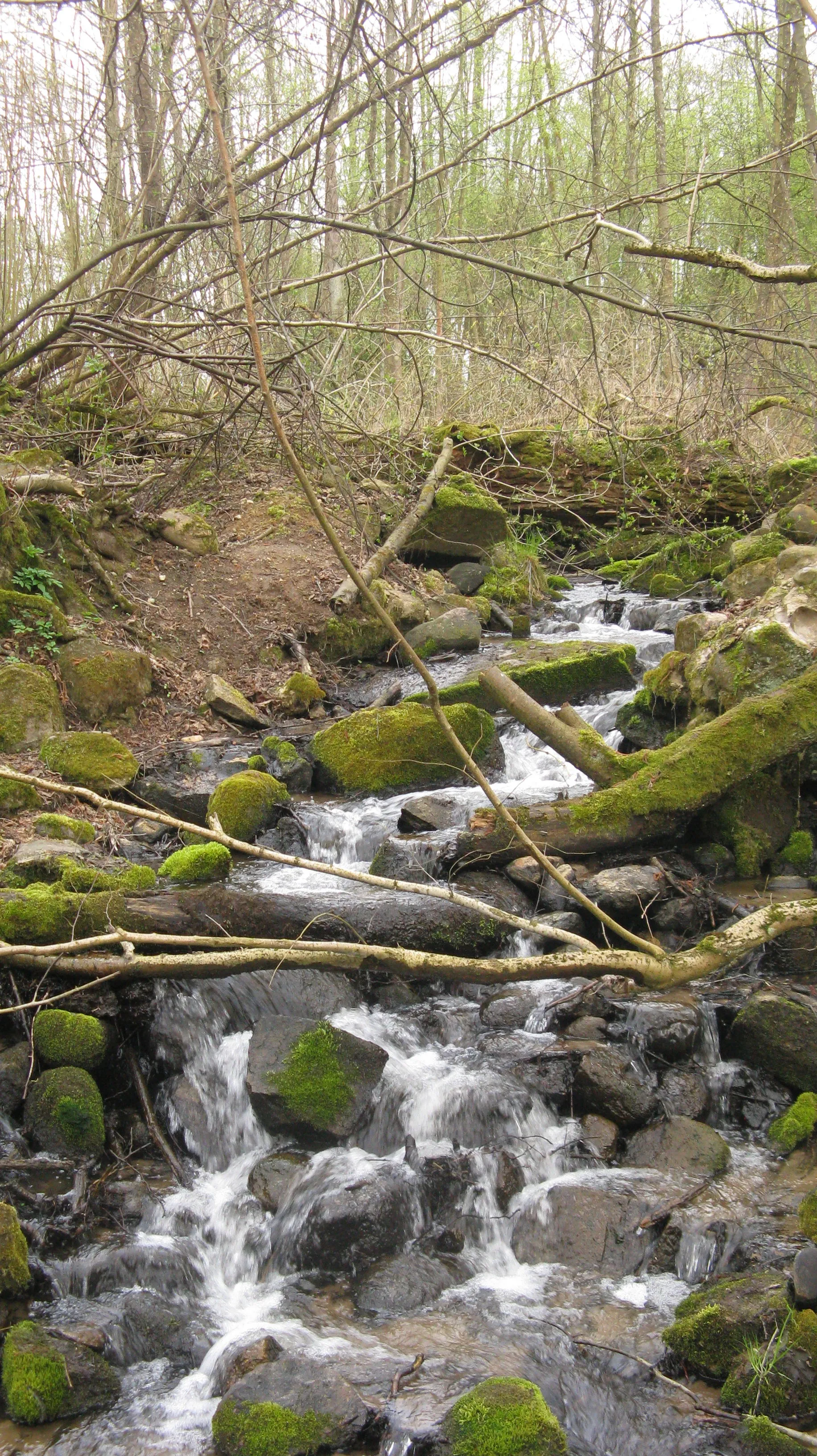 Photo showing: Park krajobrazowy Park Krajobrazowy Wzgórz Dylewskich.
Wodospad przed ruinami młynu na rzece Gizeli. Granica Ziemi Lubawskiej