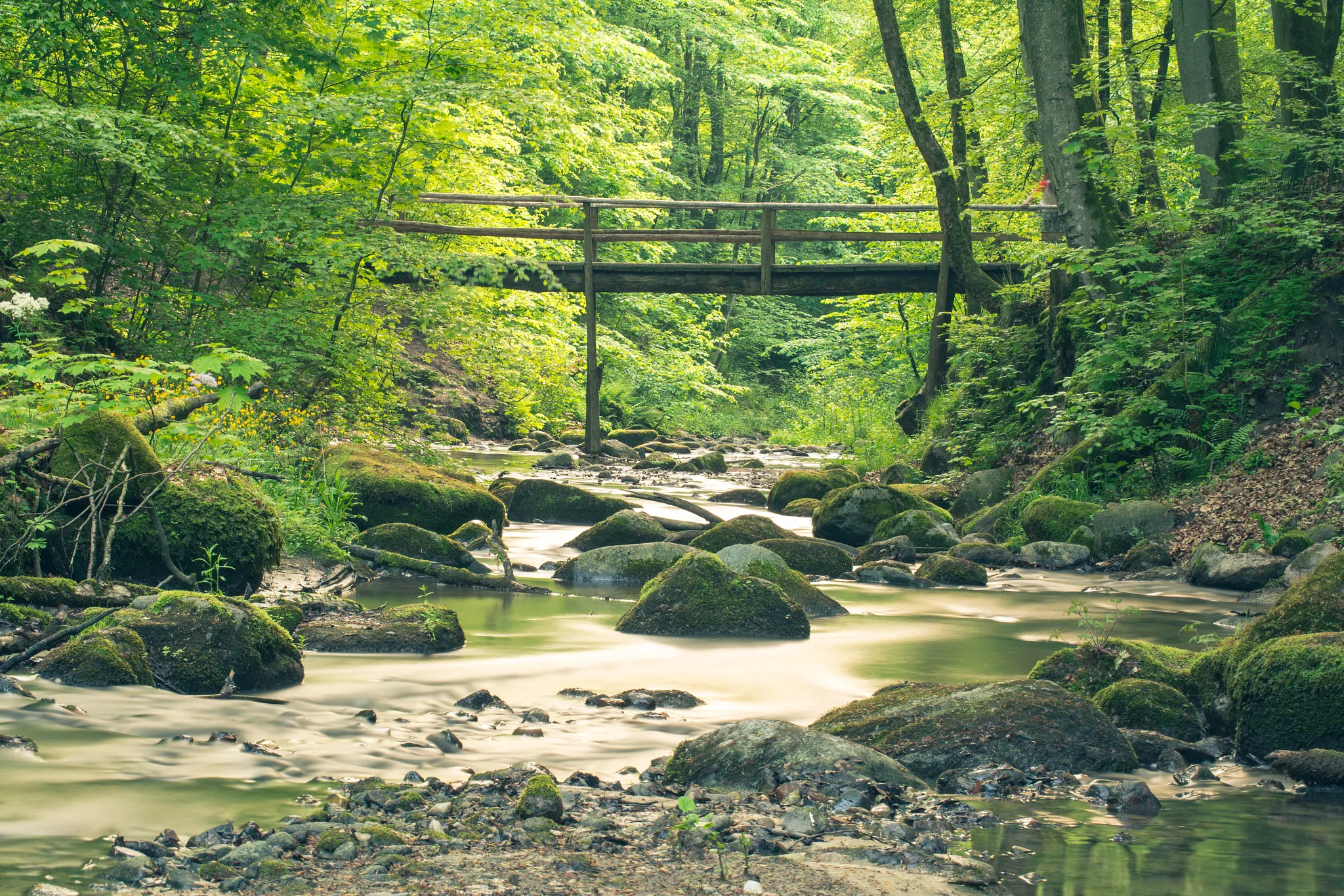 Photo showing: 500px provided description: Wooden bridge above little river [#forest ,#long time ,#Wooden bridge]