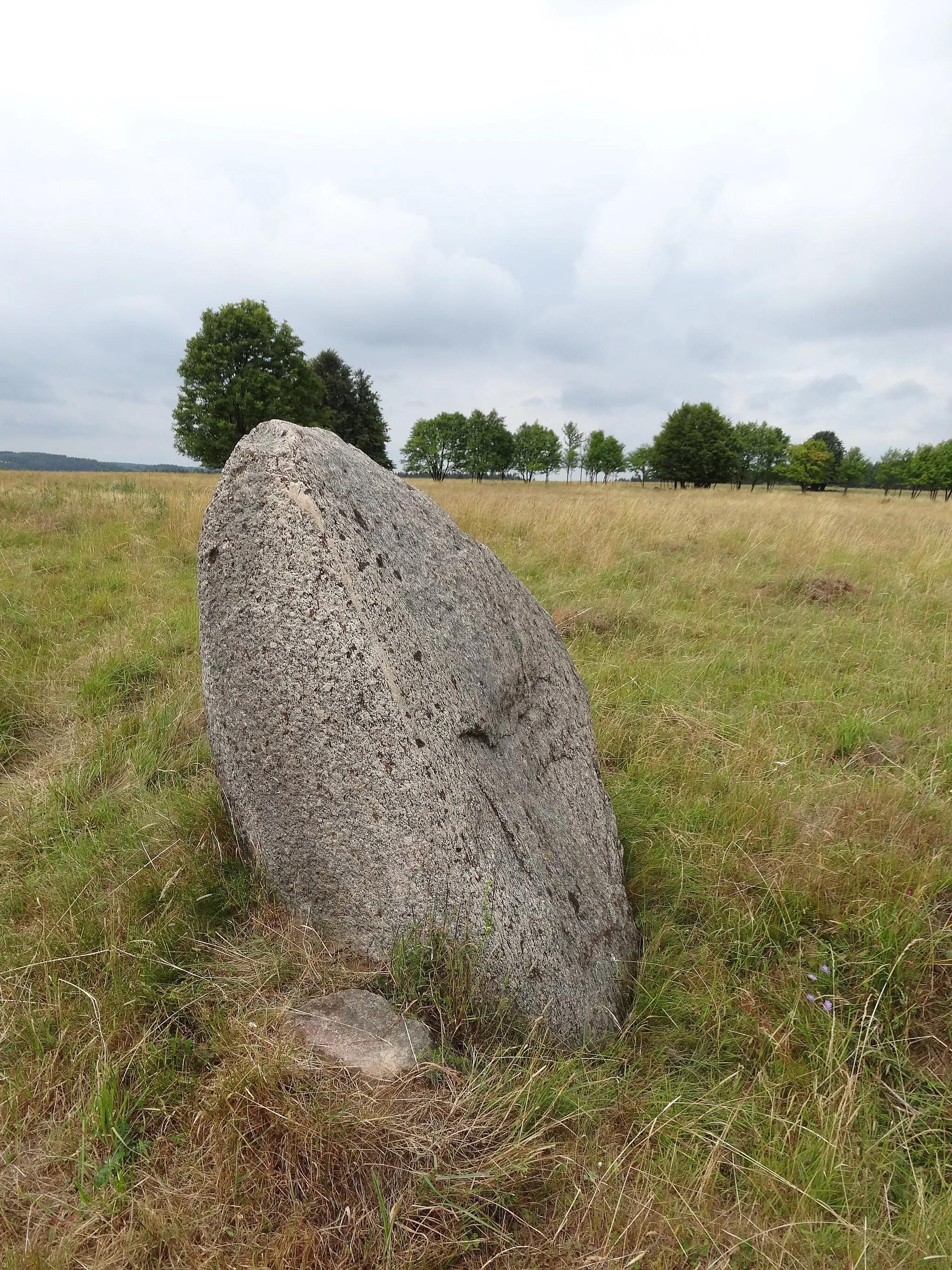 Photo showing: Rezerwat przyrody Rutka (Głazowisko Rutka) w Suwalskim Parku Krajobrazowym.