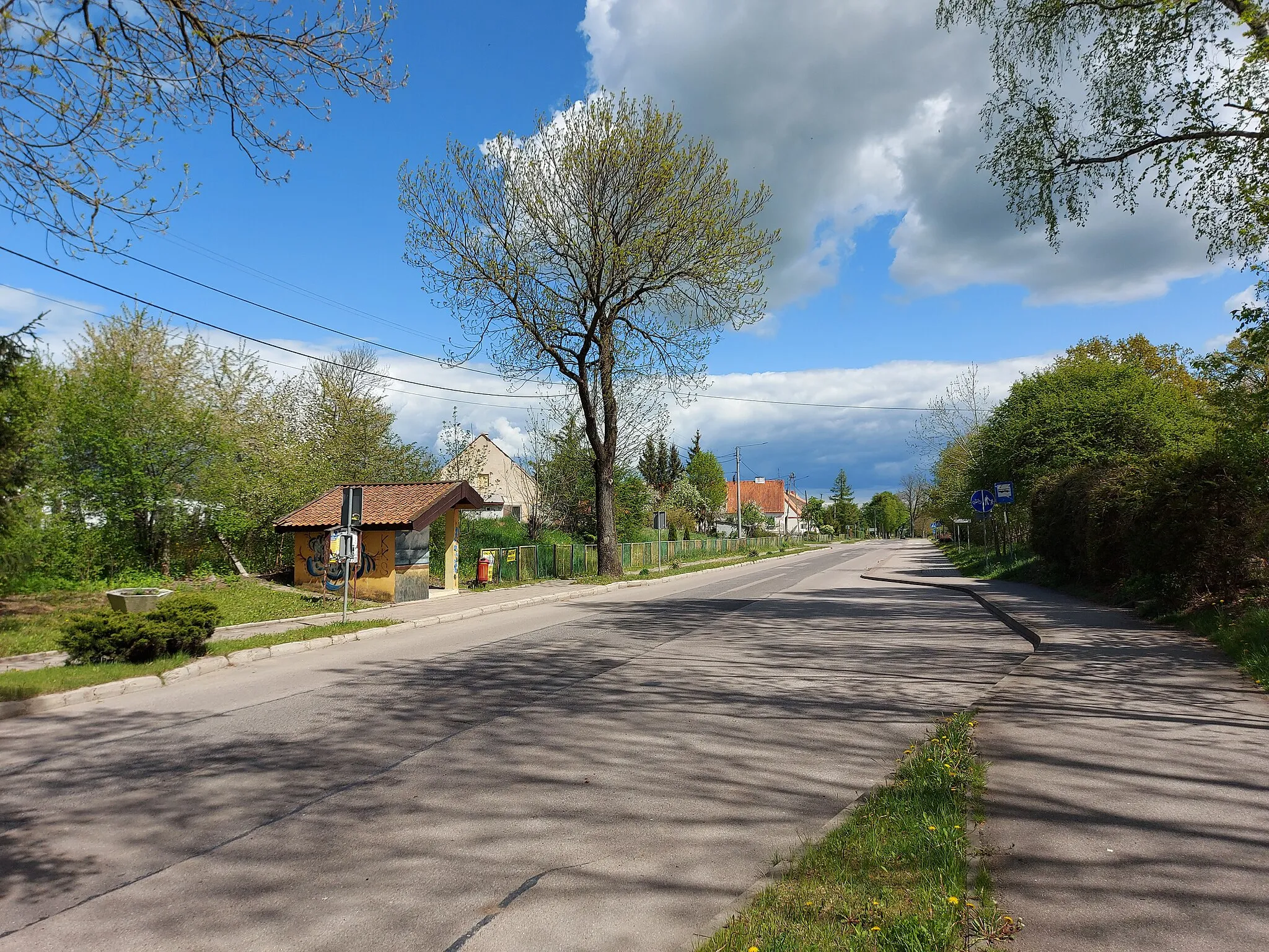 Photo showing: Provincial road No. 590 in Glitajny (Korsze commune)