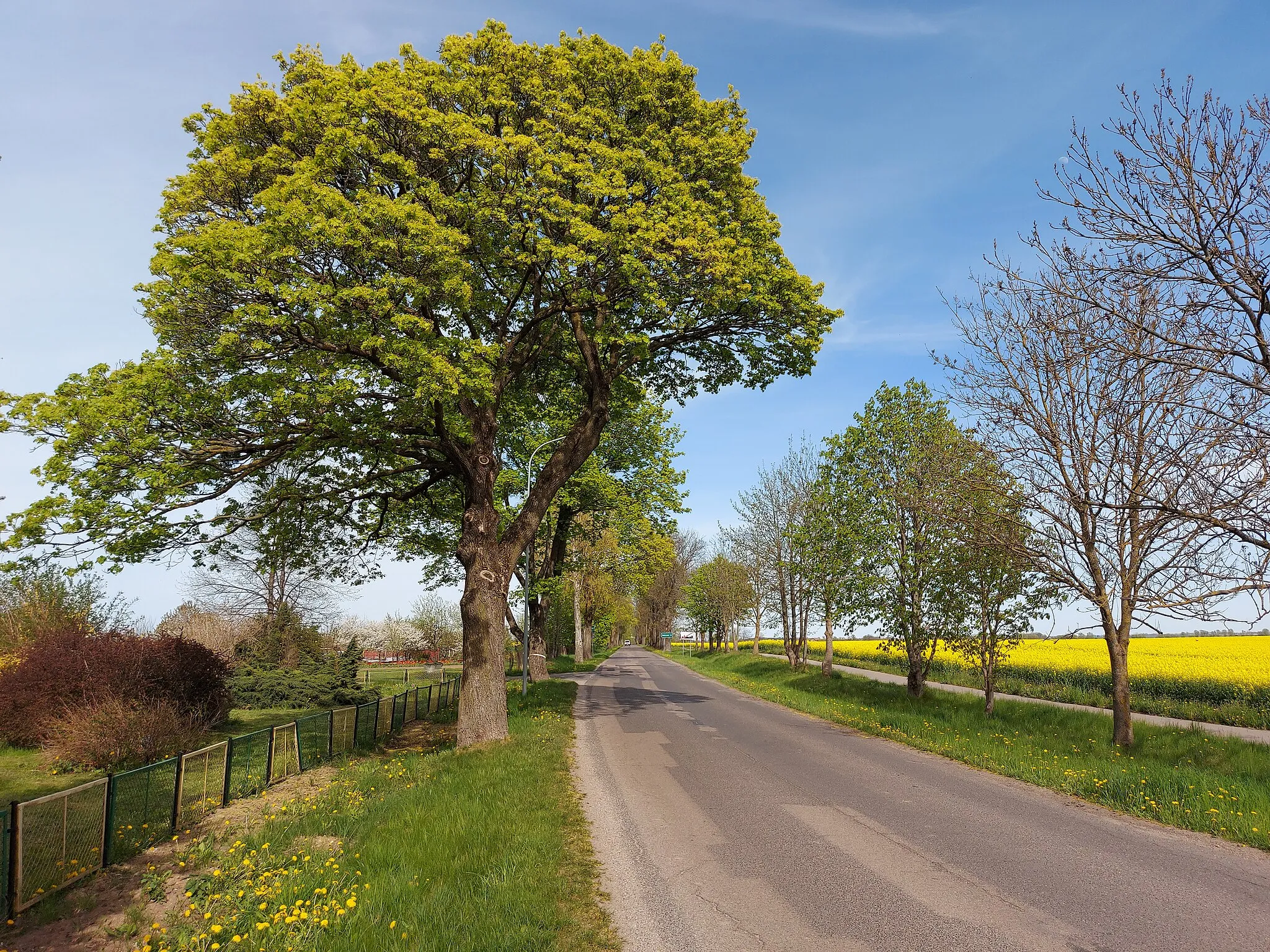 Photo showing: Glitajny (Korsze commune), provincial road No. 590