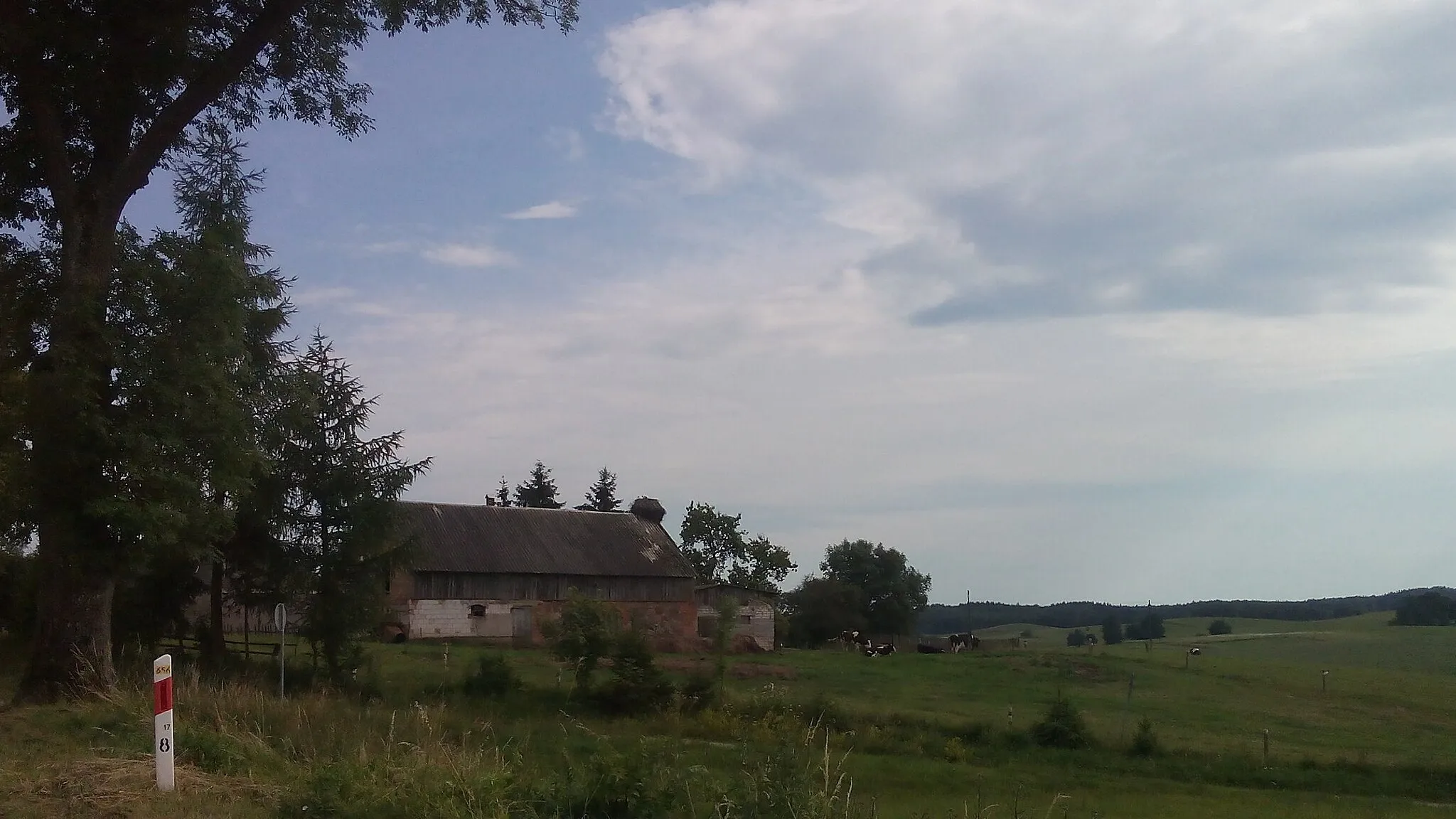 Photo showing: Gniazdo bociana białego znajdujące się we wsi Hejbuty