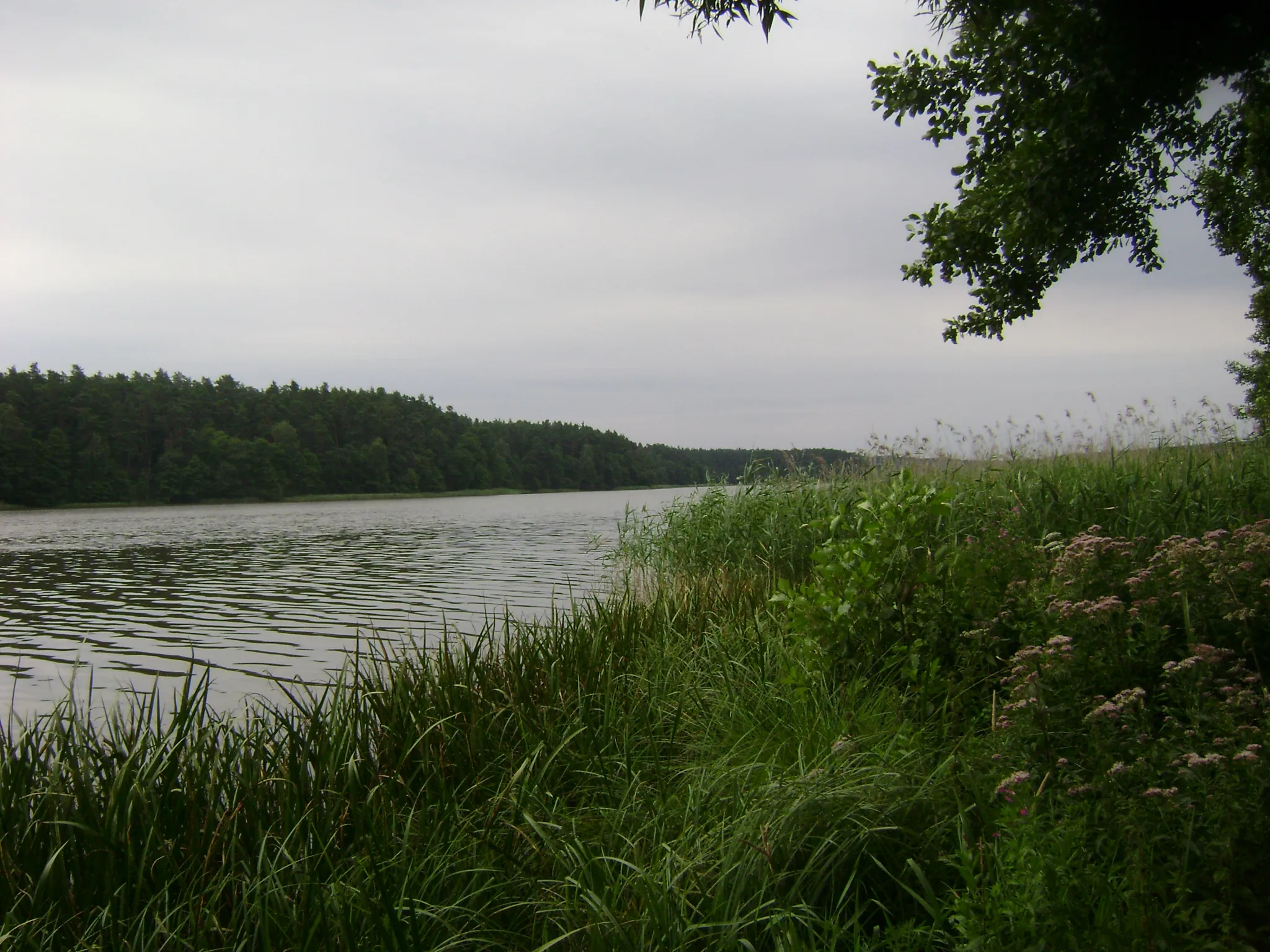 Photo showing: Omulew Lake