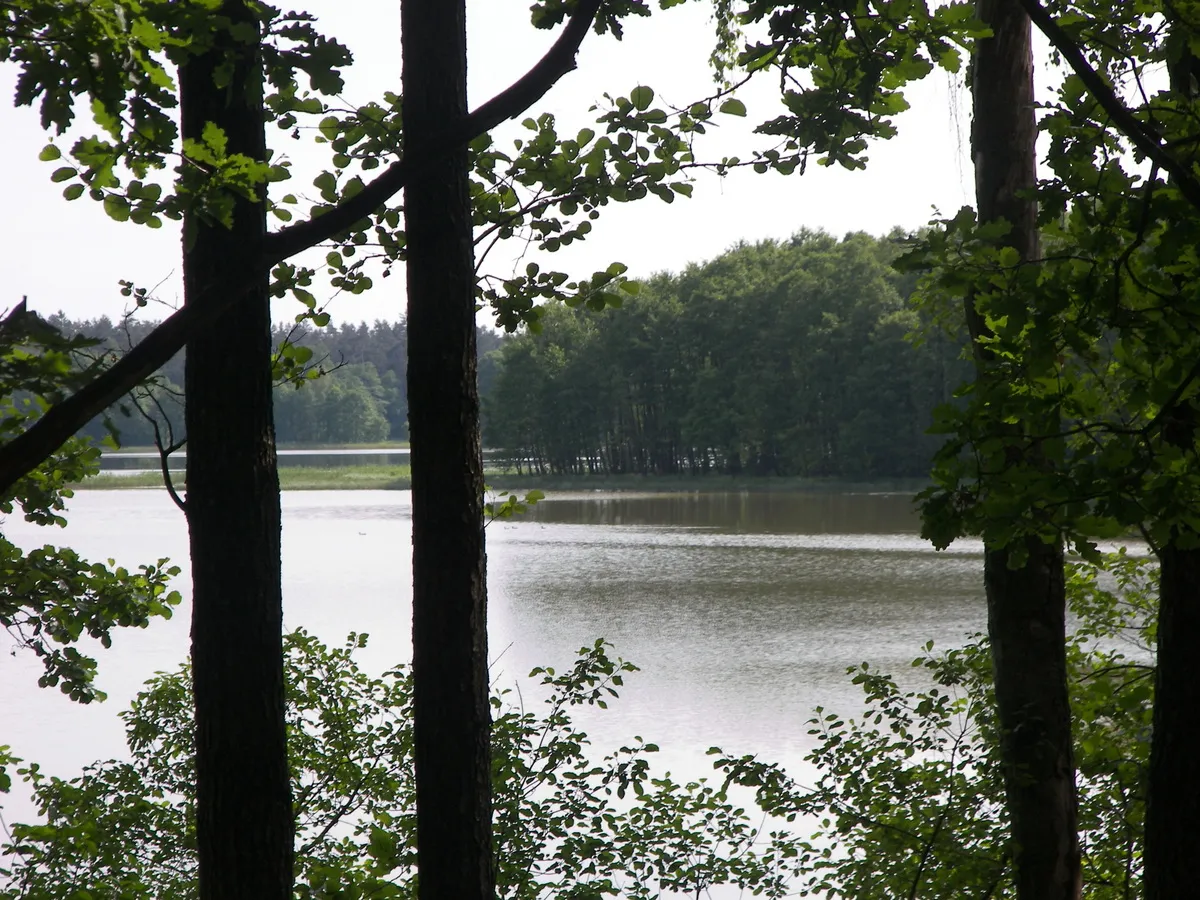Photo showing: Jezioro Omulew