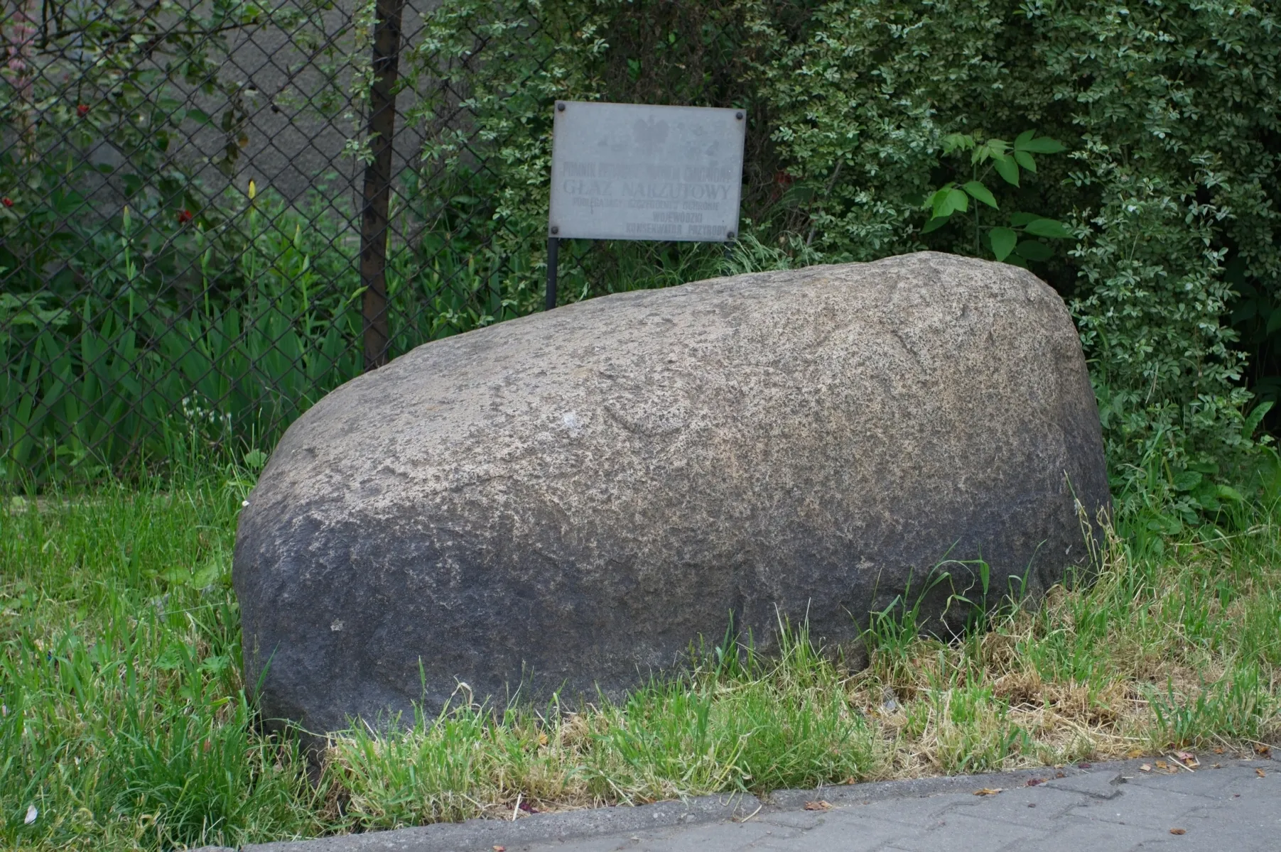 Photo showing: Erratic boulder - natural monument. Głaz narzutowy - pomnik przyrody.