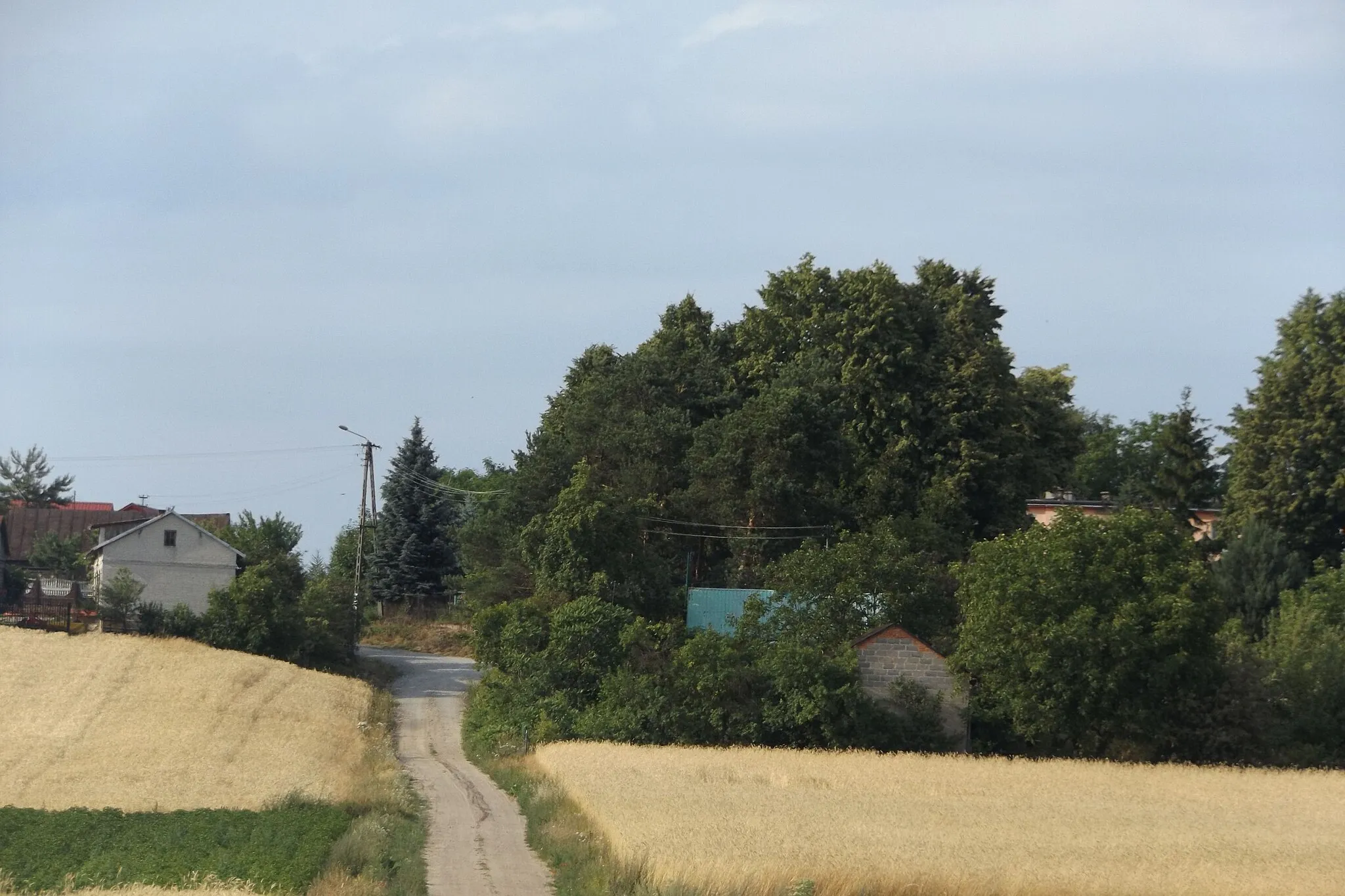 Photo showing: Wschodnia droga z Radzikowa Scalonego do Radzikowa Starego w 2015 r. Po prawej dach szkoły podstawowej.