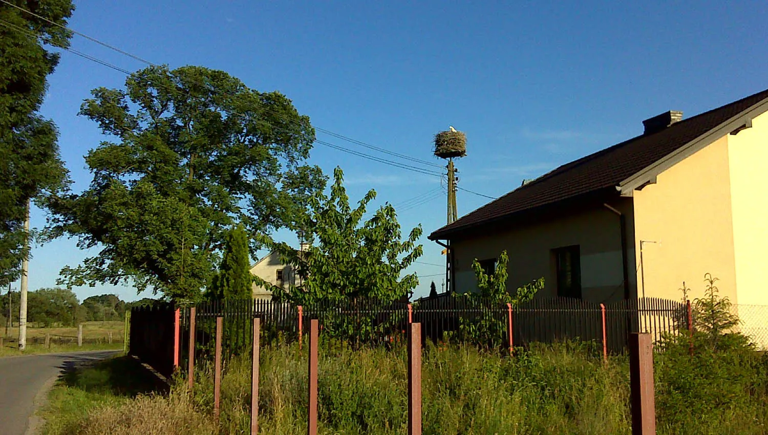 Photo showing: Bocianie gniazdo w Rudzie 8