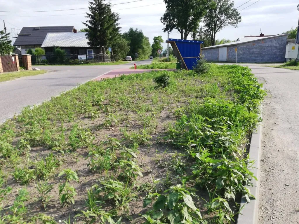 Photo showing: Skwerek w Woli Cygowskiej przed posadzeniem kwiatów