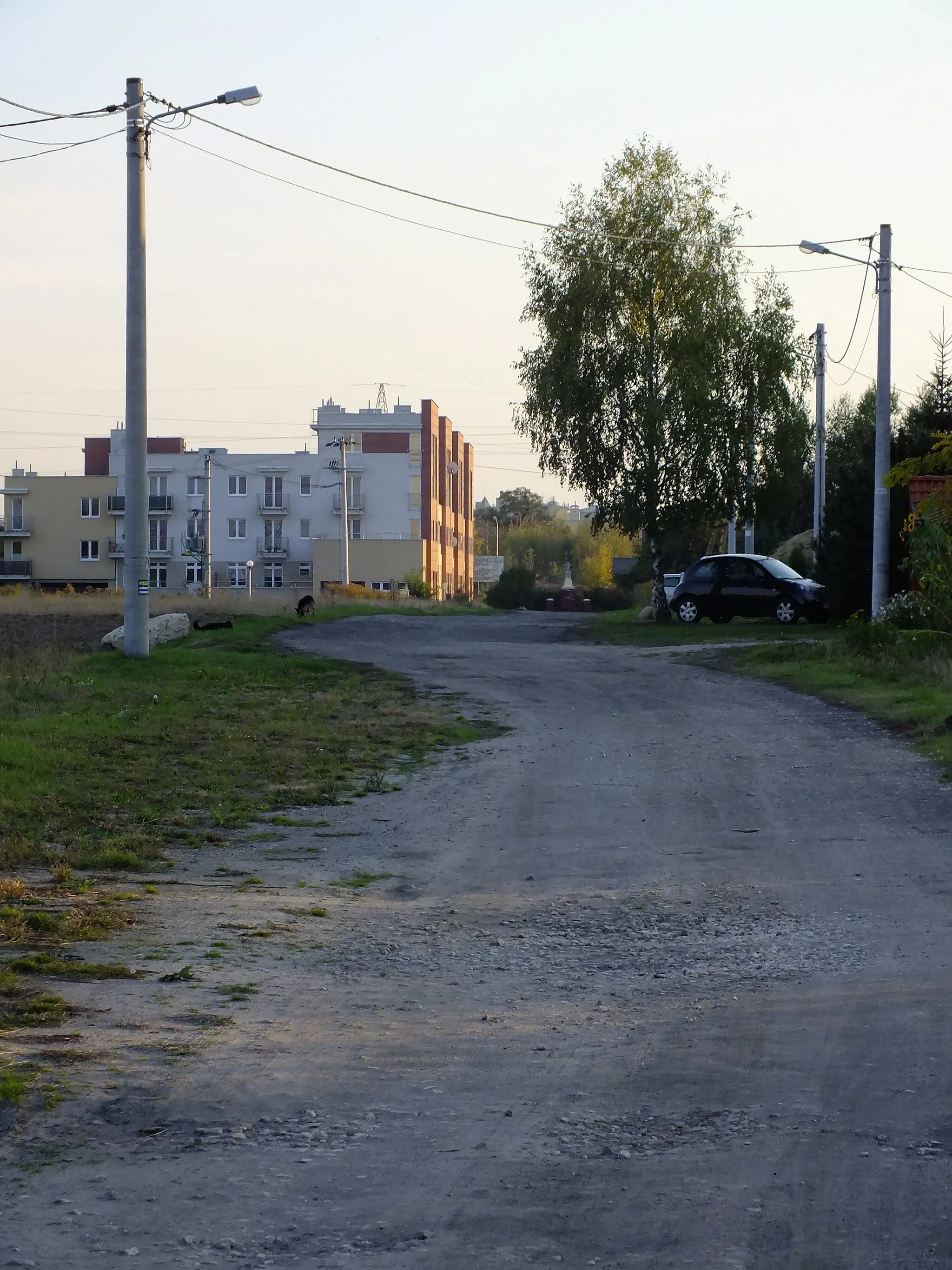 Photo showing: Pruszków - Bąki, w tle nowe osiedle deweloperskie.
