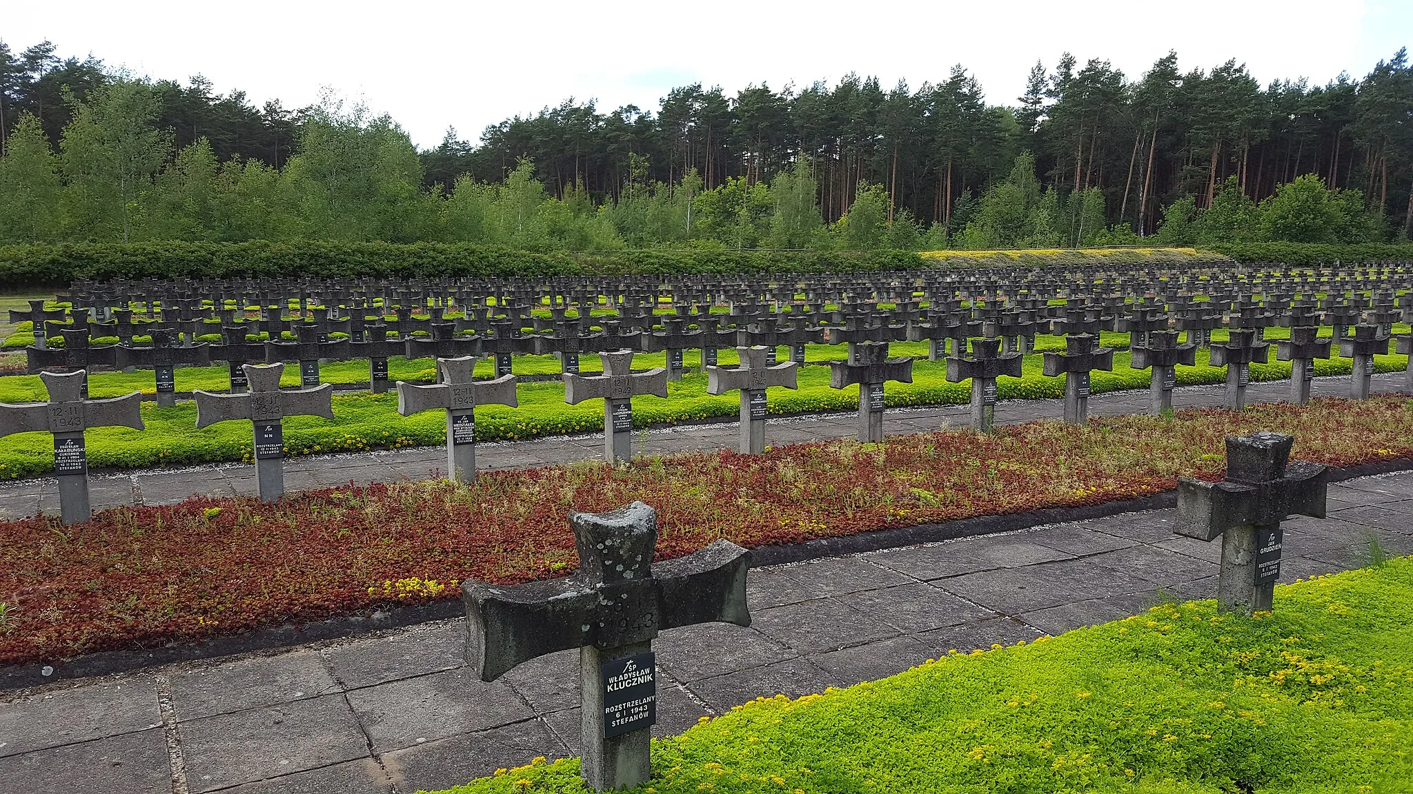 Photo showing: cemetery