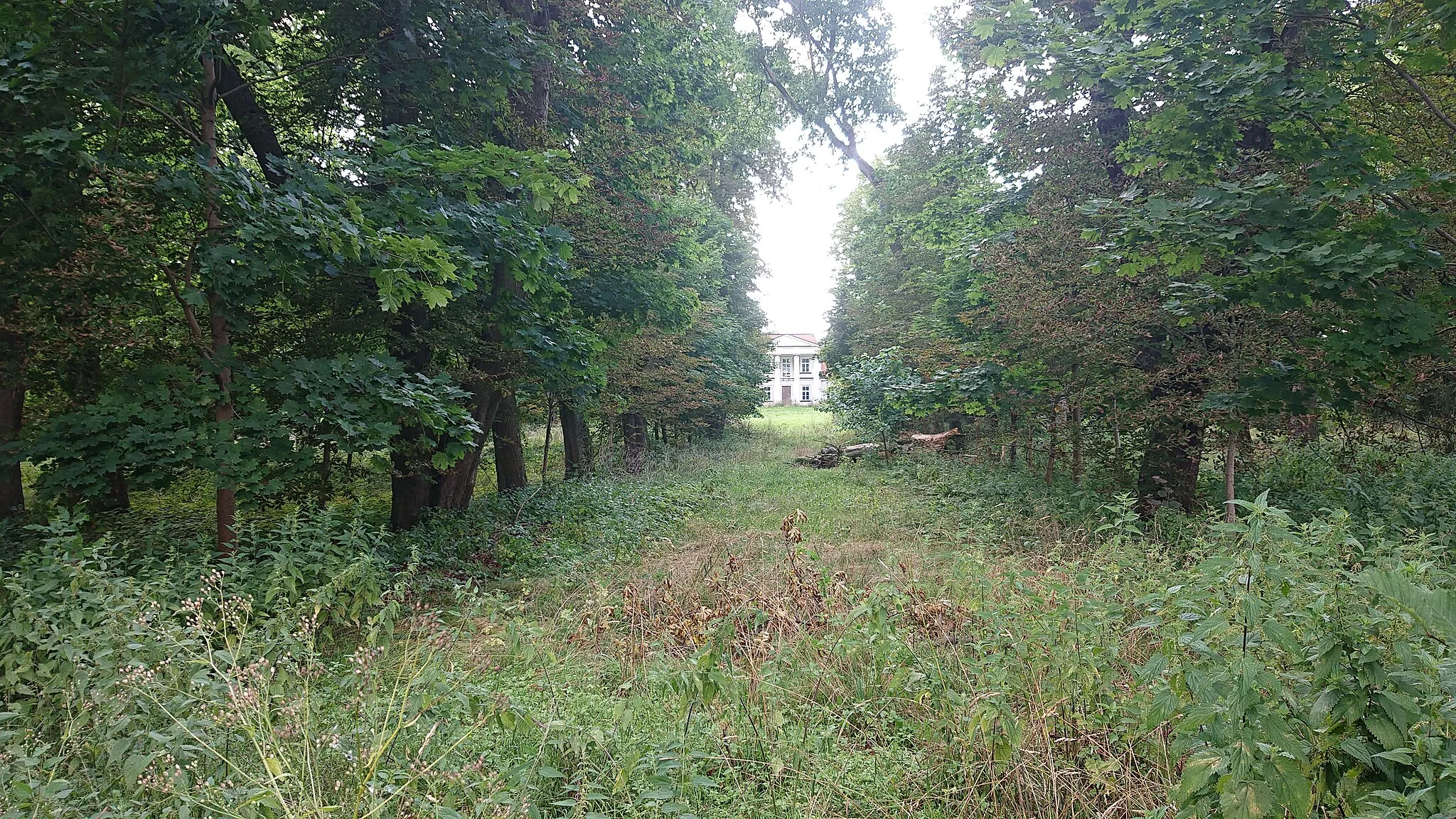 Photo showing: Widok na dwór w Zatorach