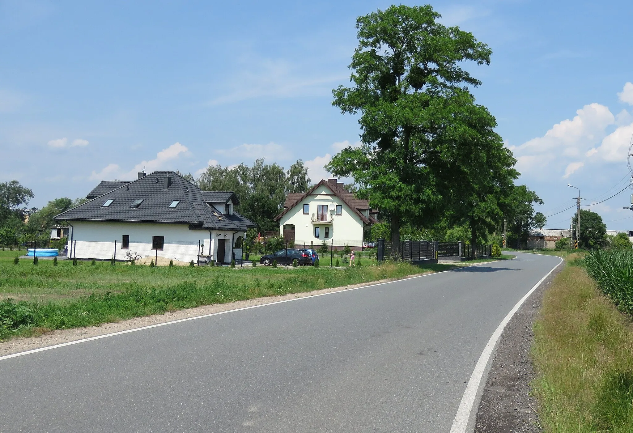 Photo showing: Witki, gm. Błonie