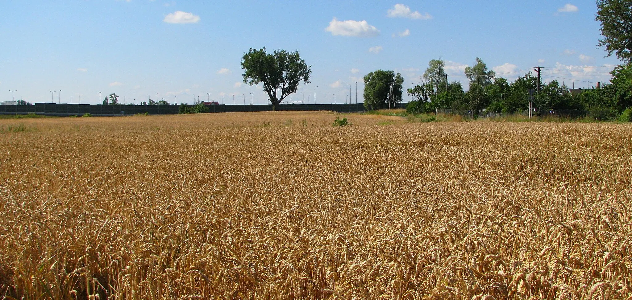 Photo showing: Tłuste, gmina Grodzisk Mazowiecki