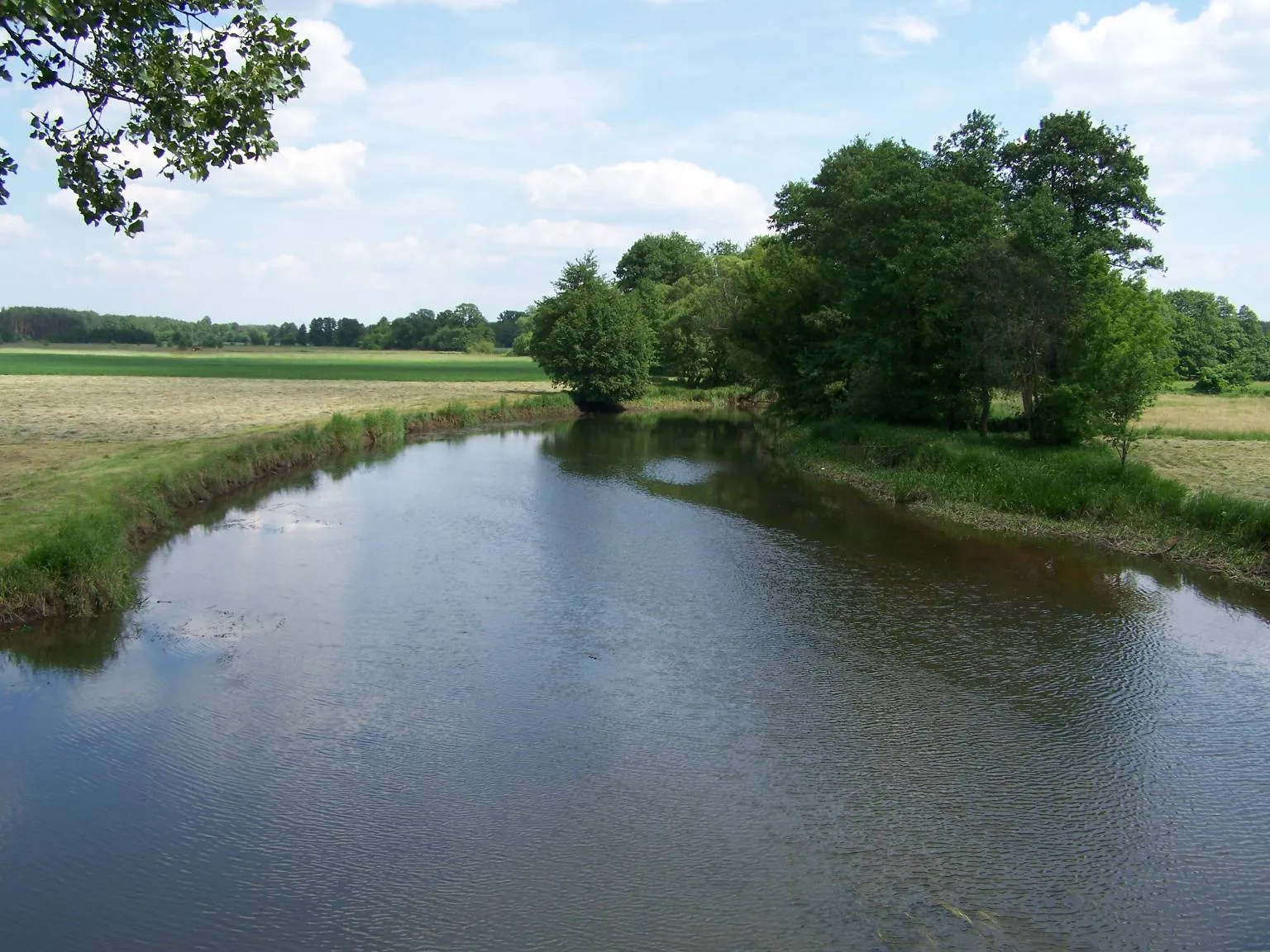 Photo showing: Świder river. View from bridge in Sufczyn.