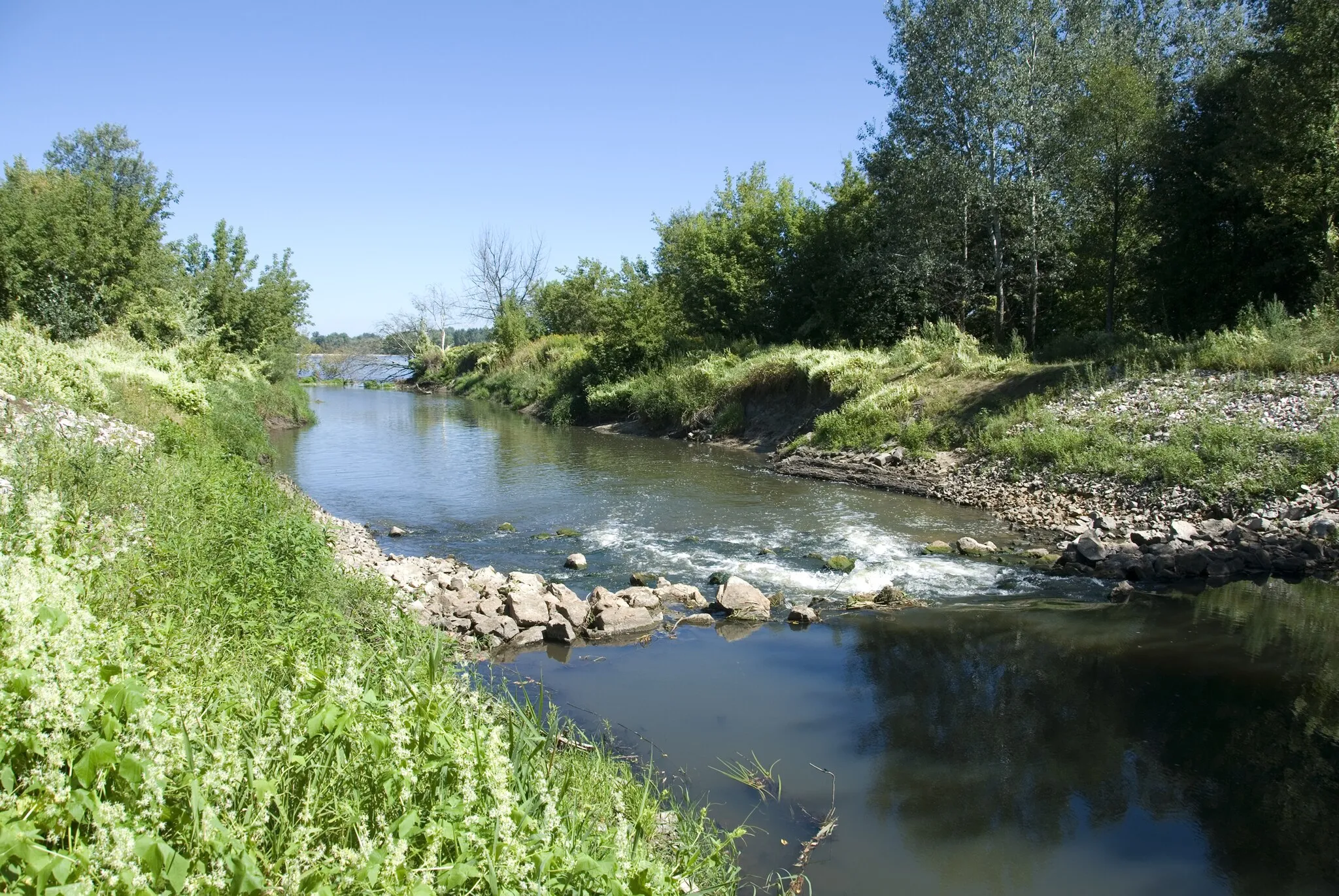 Photo showing: Jeziorka w pobliżu ujścia do Wisły