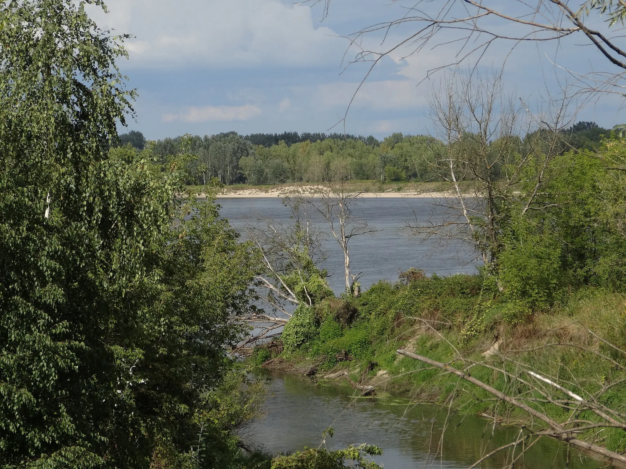 Photo showing: Gmina Konstancin-Jeziorna, Poland