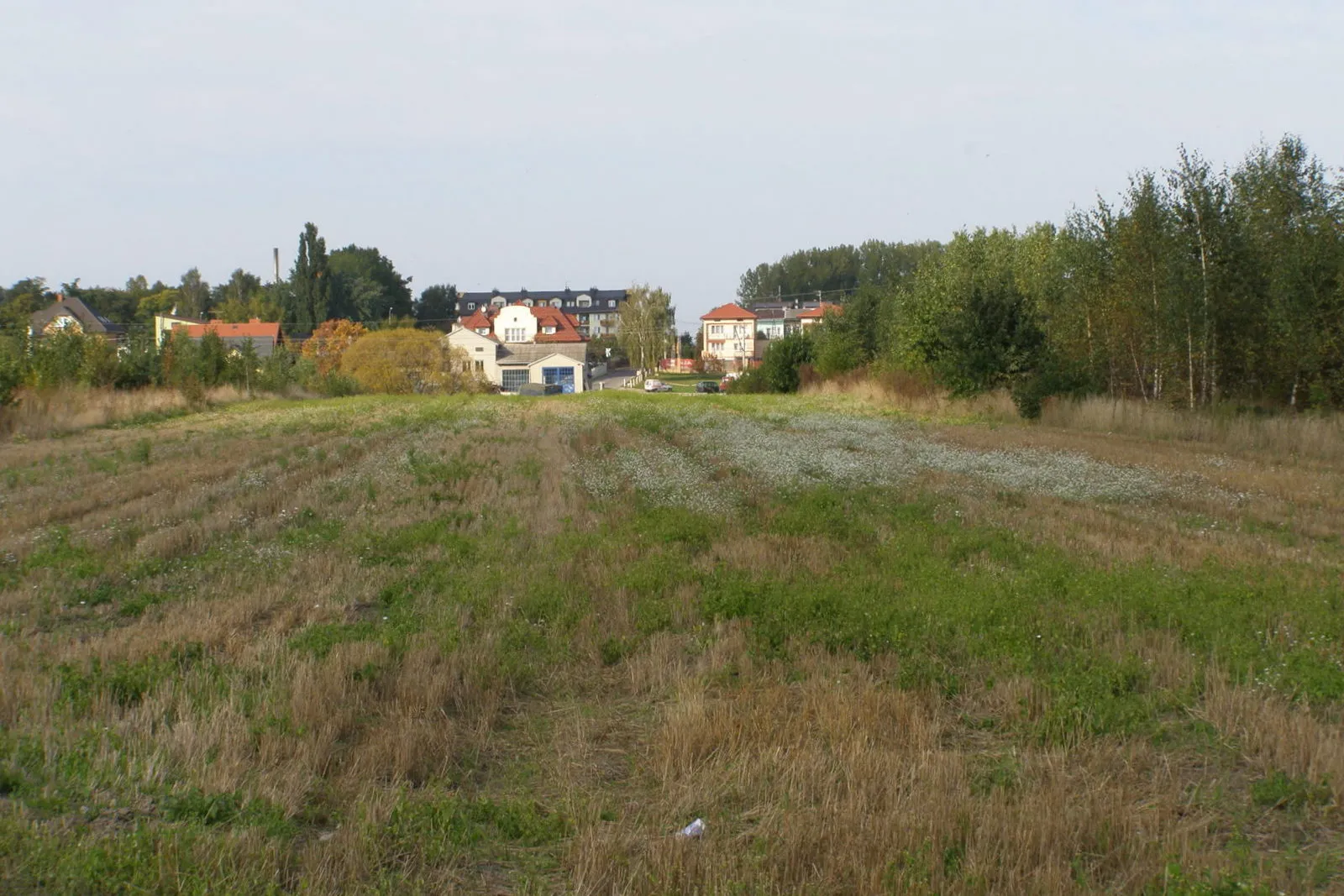 Photo showing: Field in Mińsk Mazowiecki / Pole w Mińsku Mazowieckim