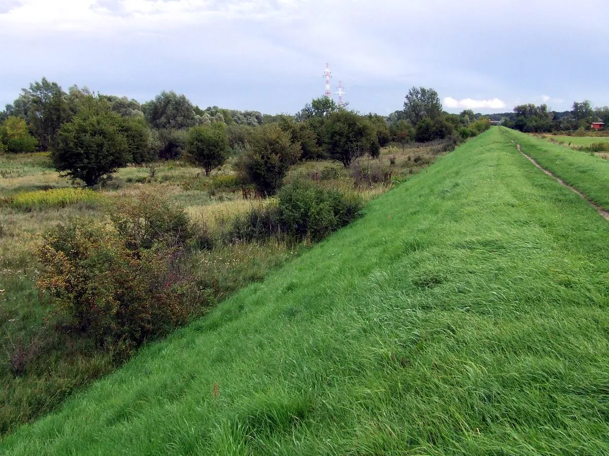 Photo showing: Dike on the Vistula River