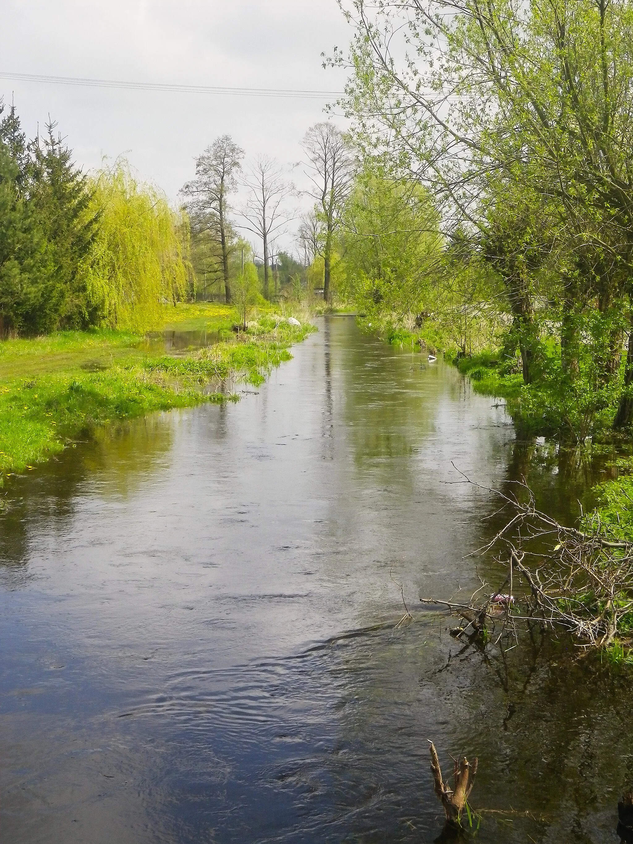 Photo showing: local river at Lipka (Poland, Wołomin County)