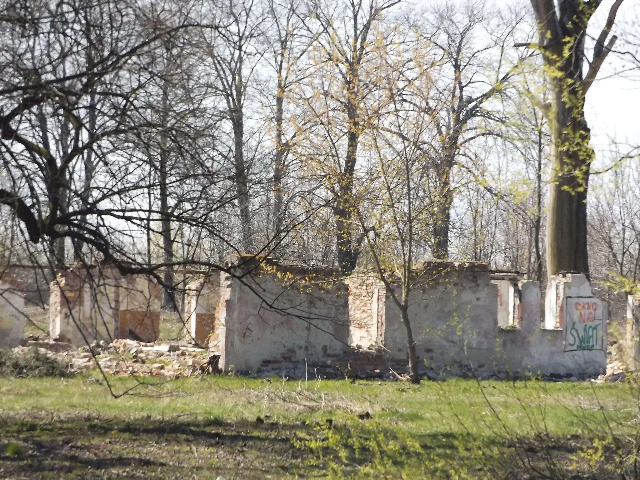 Photo showing: Wschodnia część parku dworskiego w Kroczewie - ruiny jednej z budowli w 2015 r.