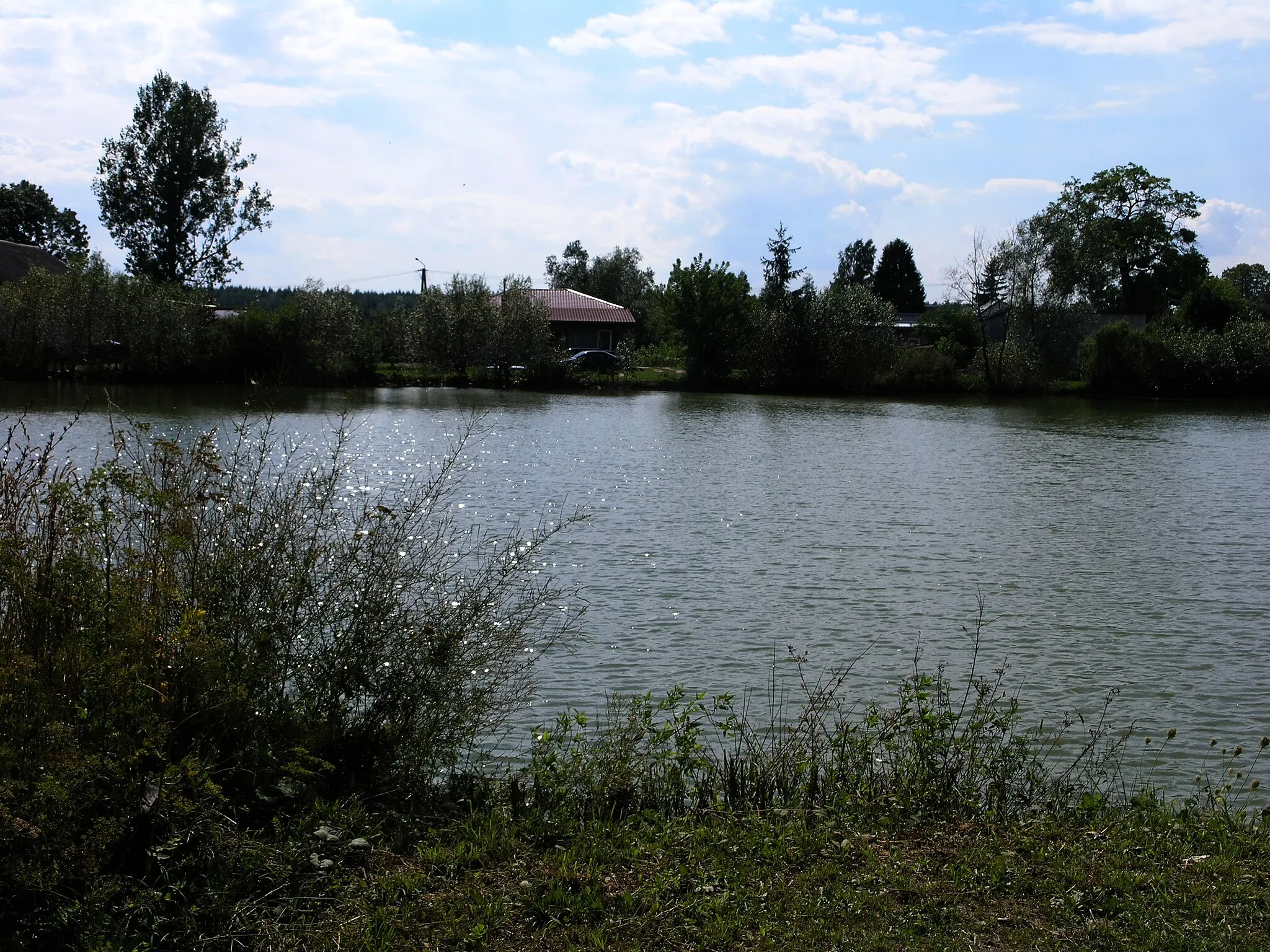 Photo showing: Pond in Kosewo (Gmina Pomiechówek), Masovian Voivodeship, 2014